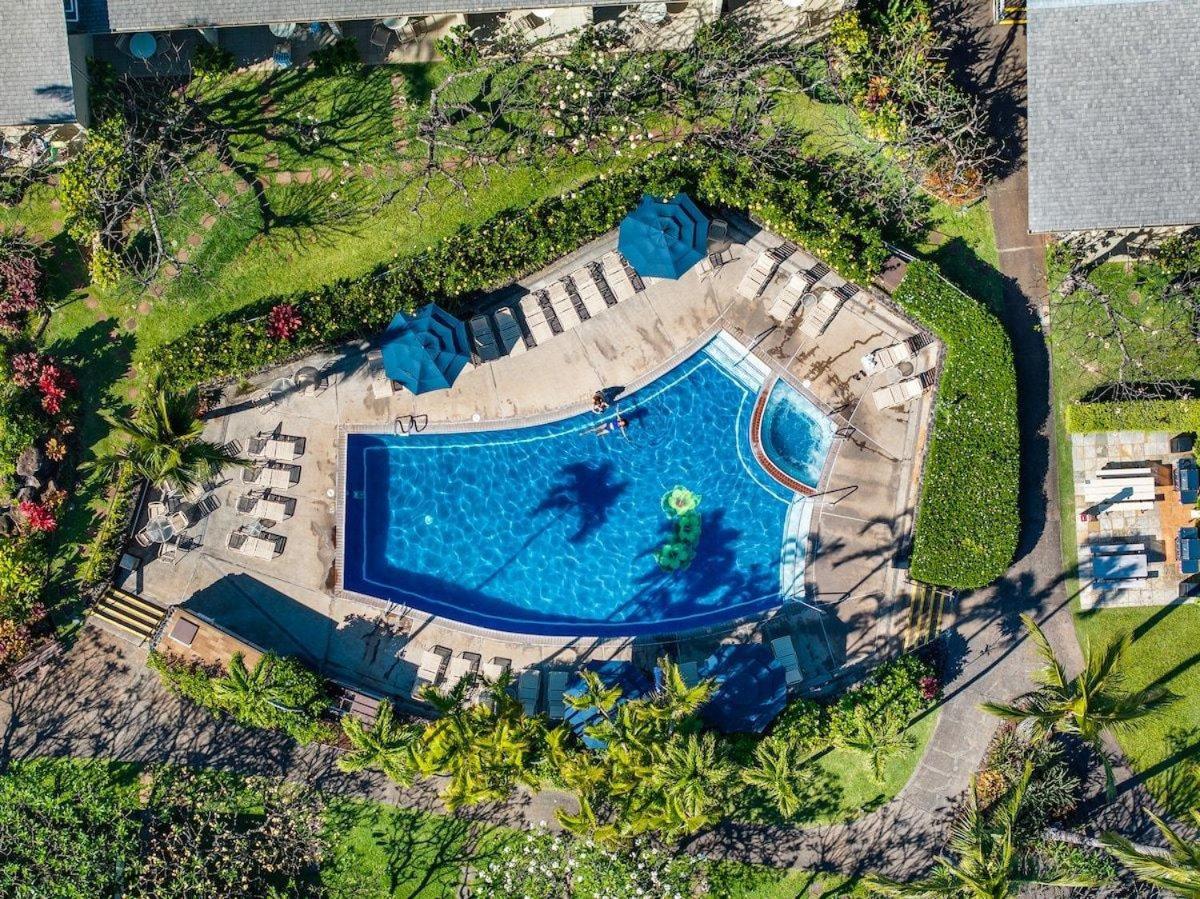 Napili Shores H262 · NS H262 BeachFront Condo Ocean Views Pool H