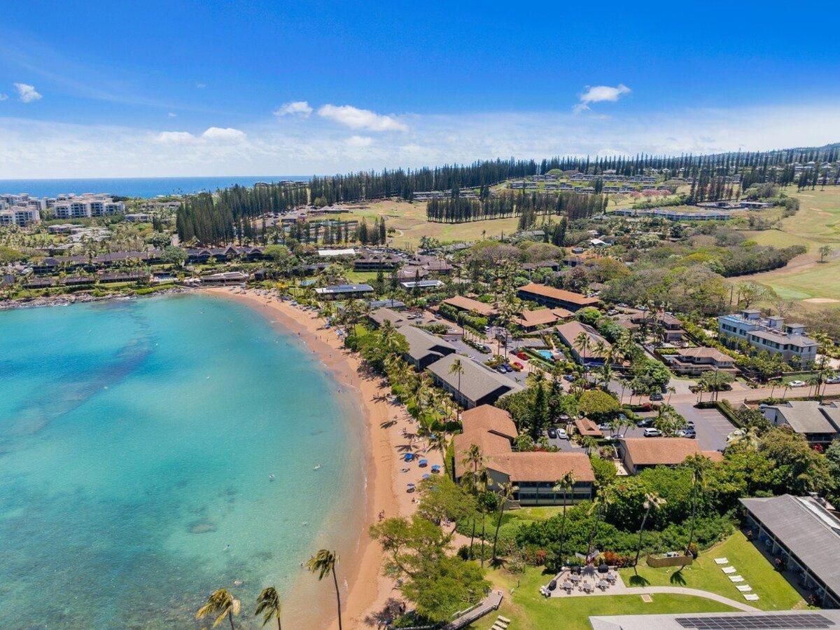 Napili Bay 210 · NB 210 Napili Bay Studio with Direct Ocean View