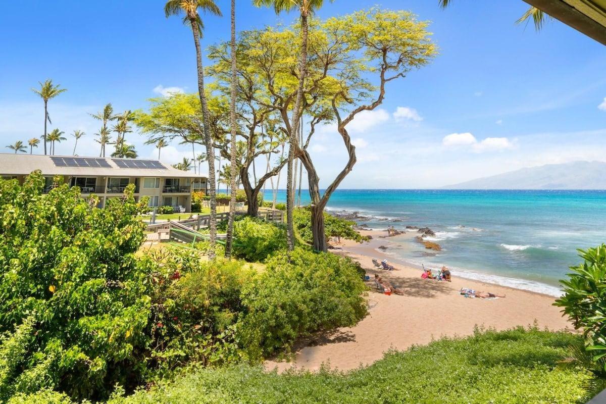 Napili Bay 210 · NB 210 Napili Bay Studio with Direct Ocean View