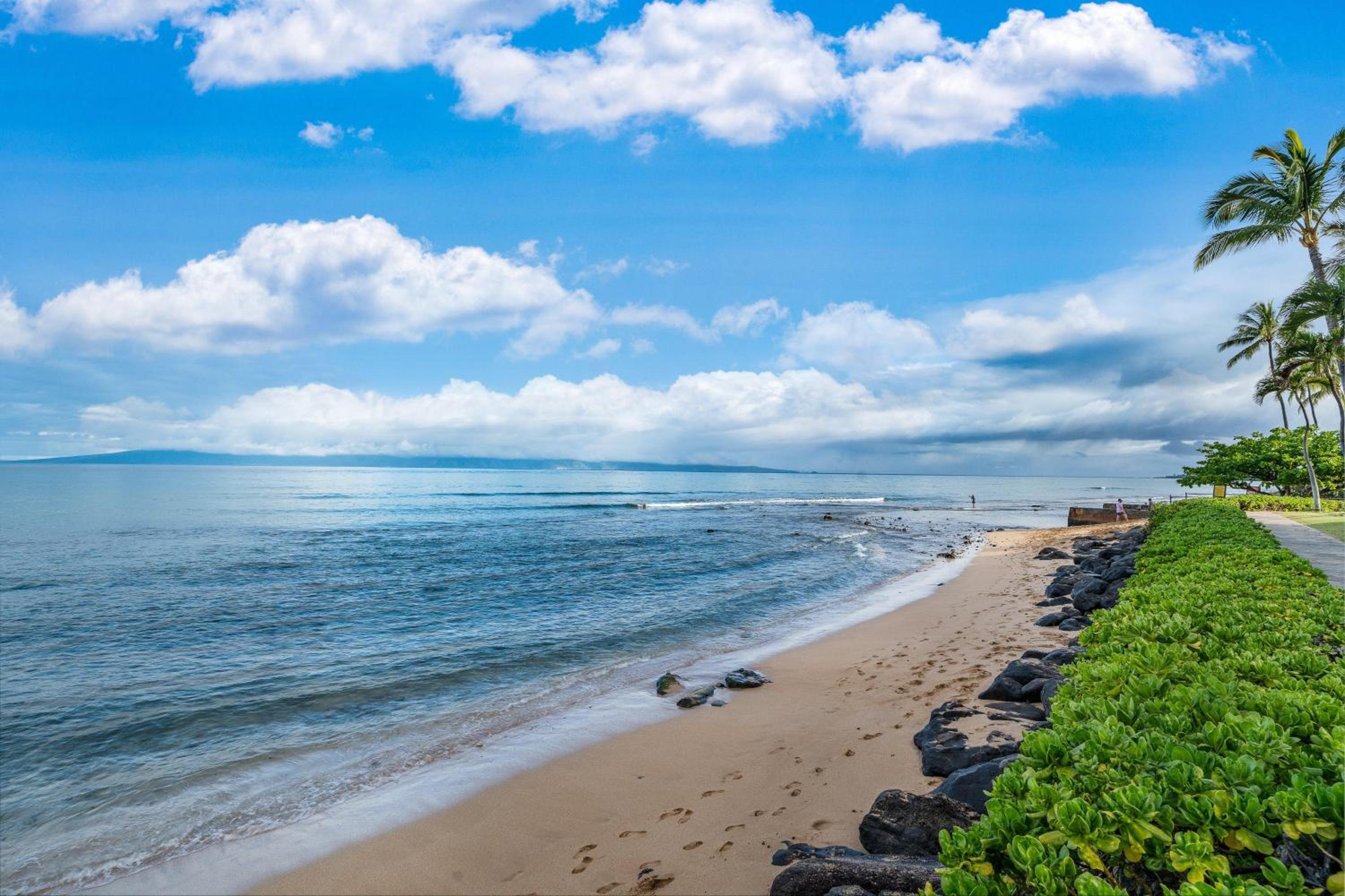 Kaanapali Shores 515 · KS 515 Updated 2Bedroom at BeachFron