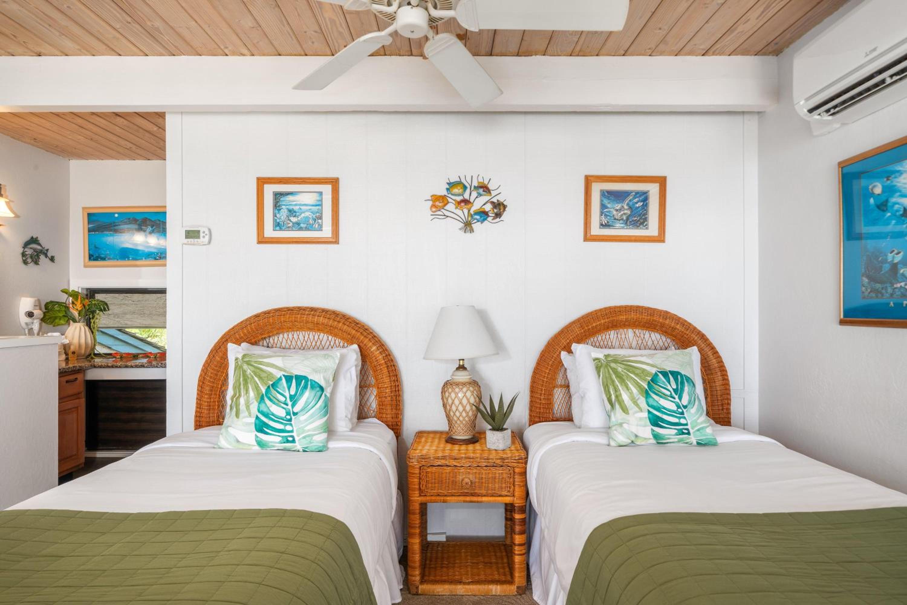 Napili Point C22 · NP C22 Oceanfront Views from 2BD West Maui Co