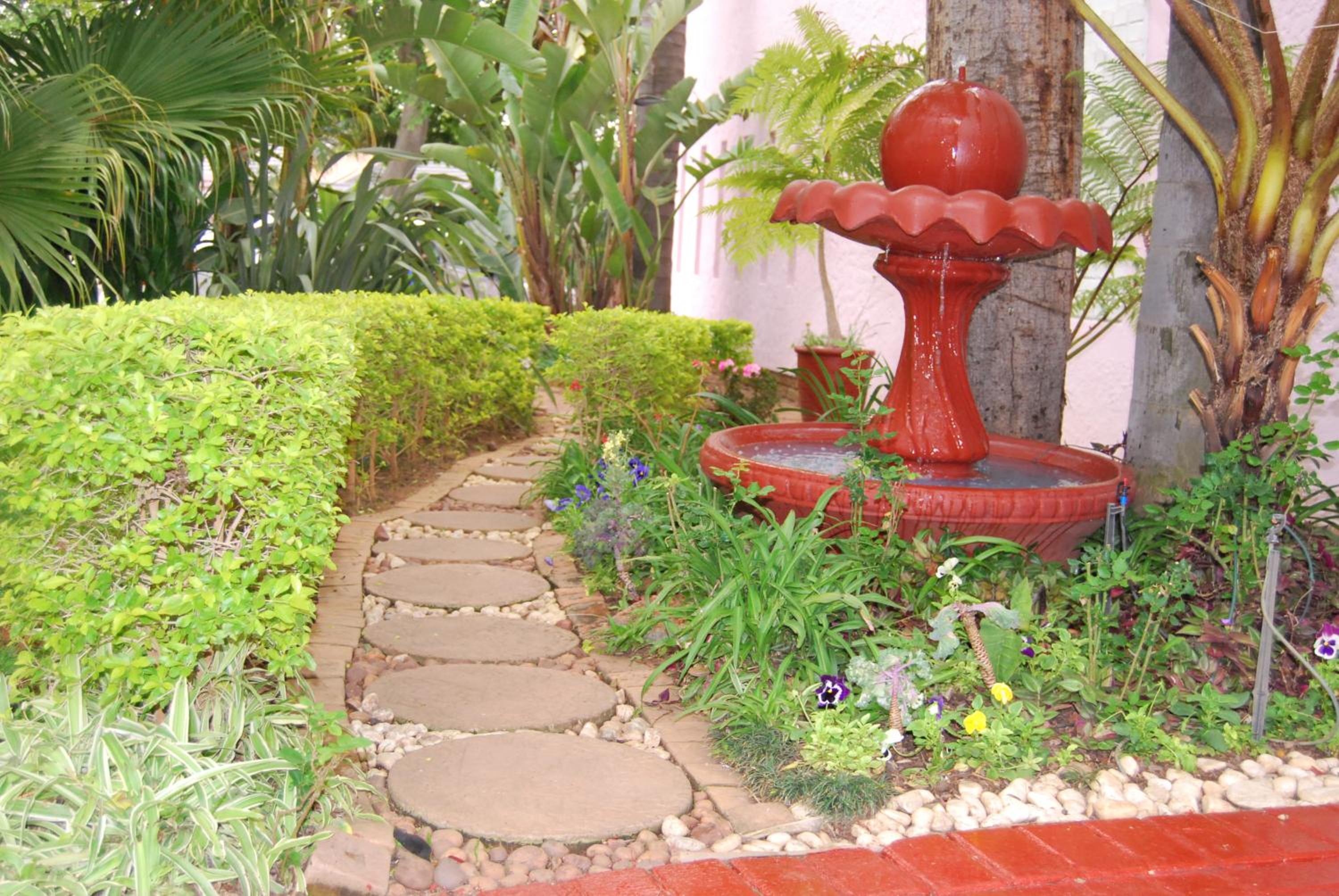 Photo 7