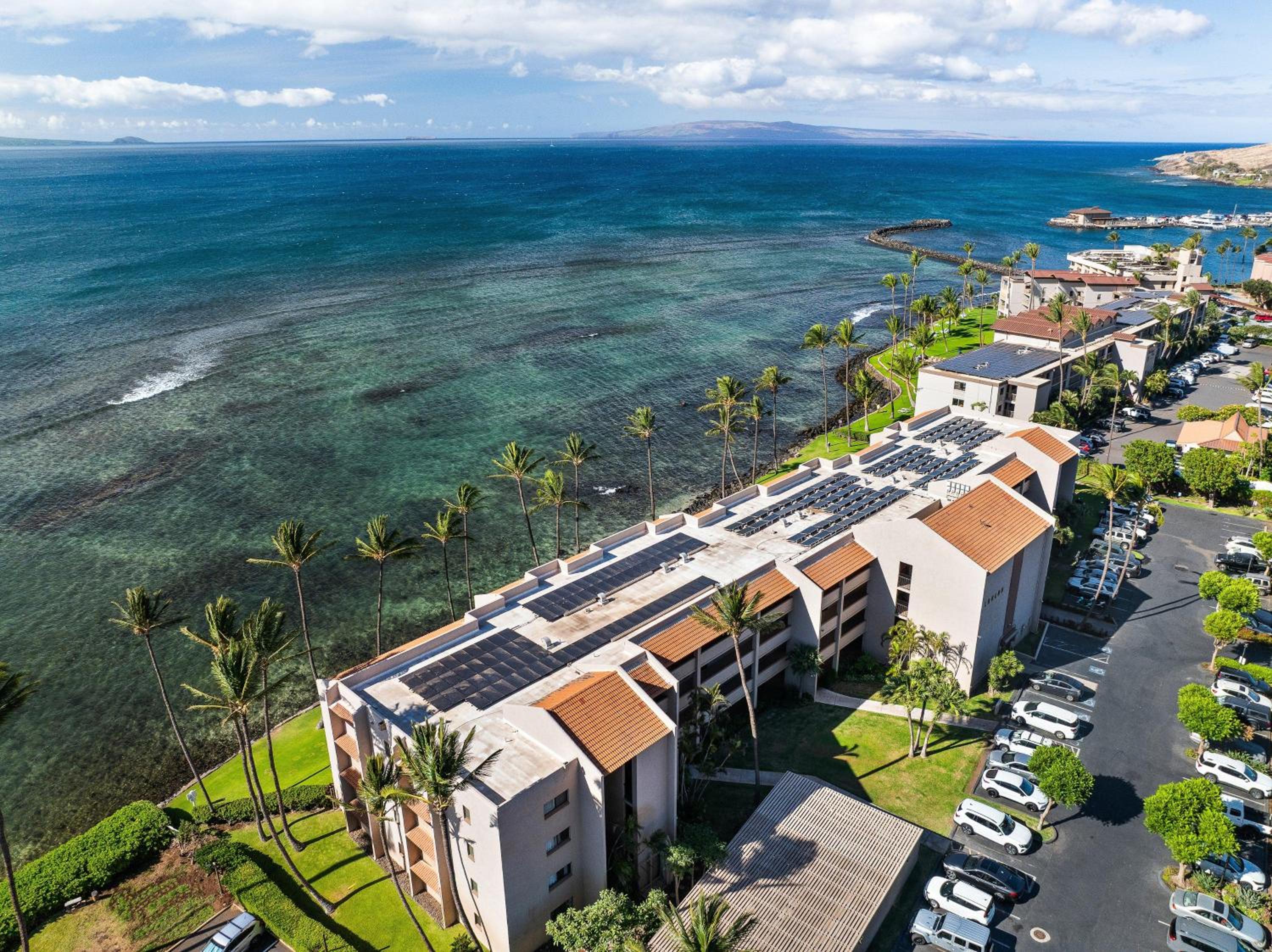 Lauloa 303
