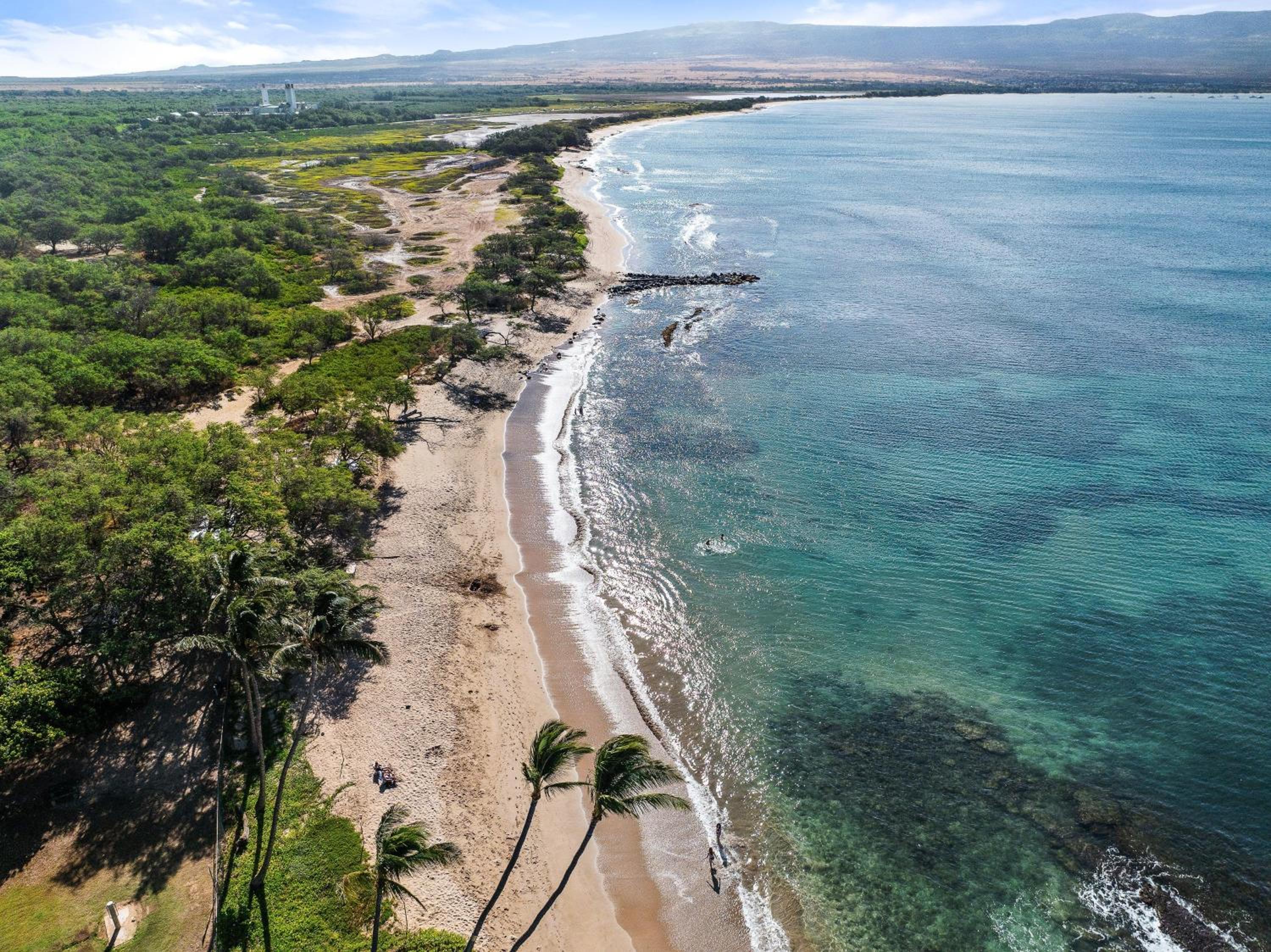 Lauloa 303