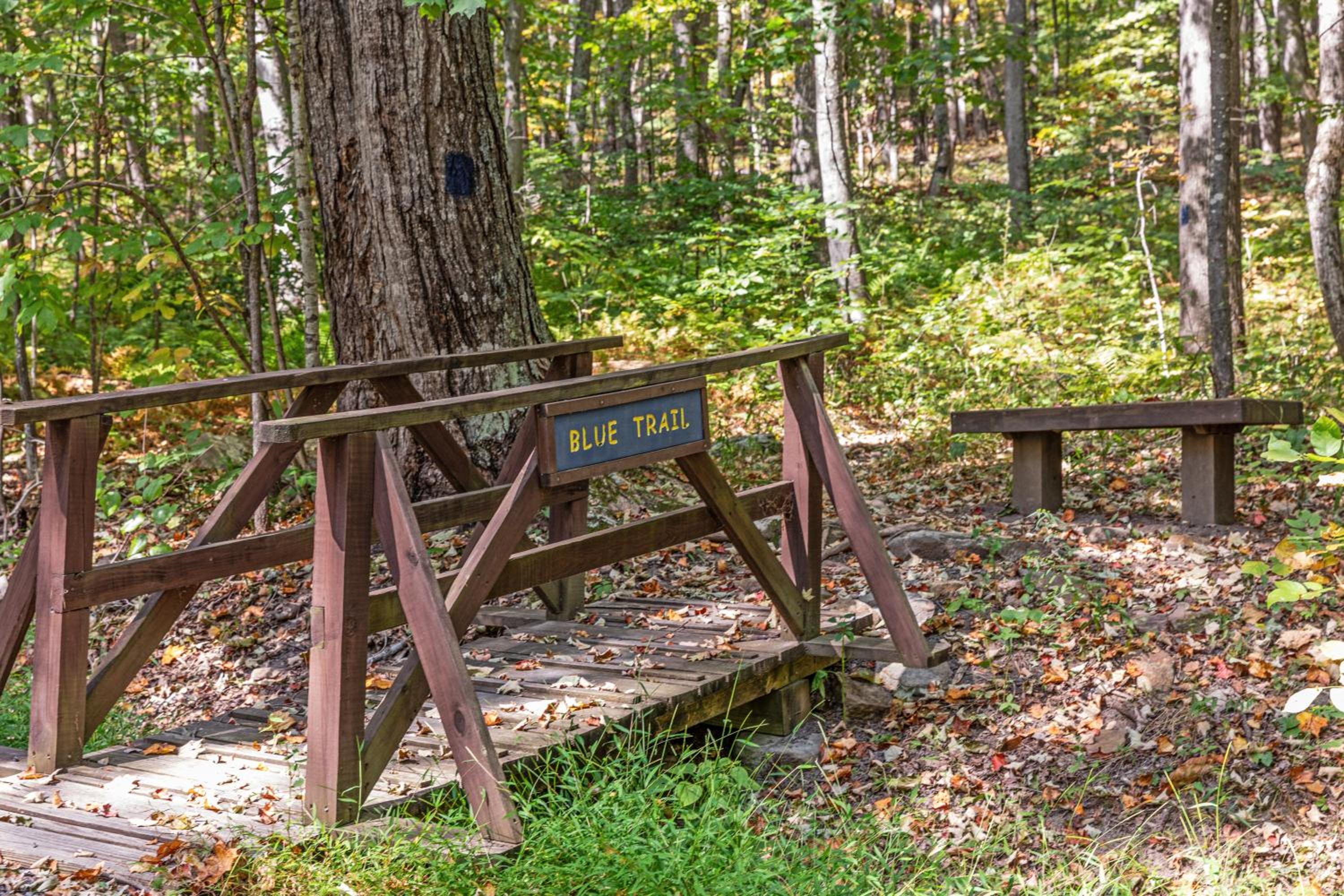 Wooded Nest, Cozy 3BR Chalet Near Spas, Downtown Berkeley Springs & Hiking