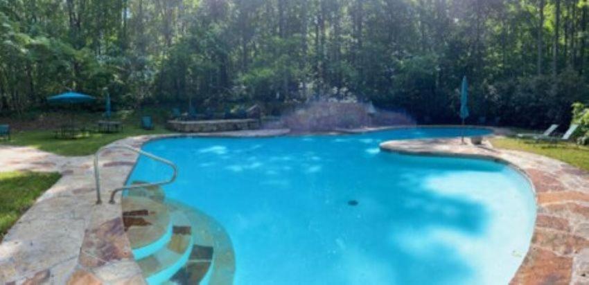 Wooded Nest, Cozy 3BR Chalet Near Spas, Downtown Berkeley Springs & Hiking