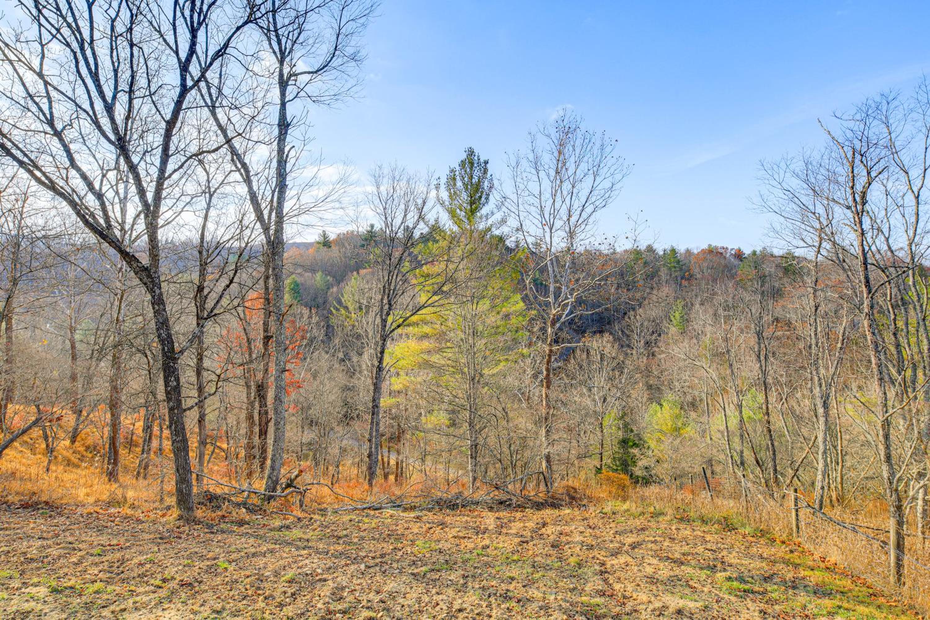 Steps to State Park! A-Frame Cabin in Piney Creek