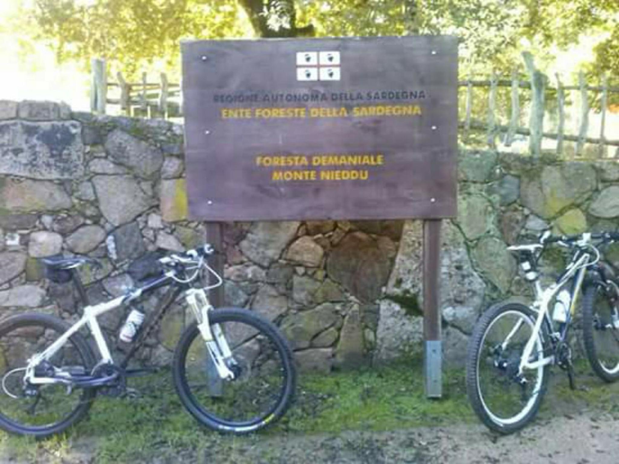B&B Il Vigneto en Capoterra — other