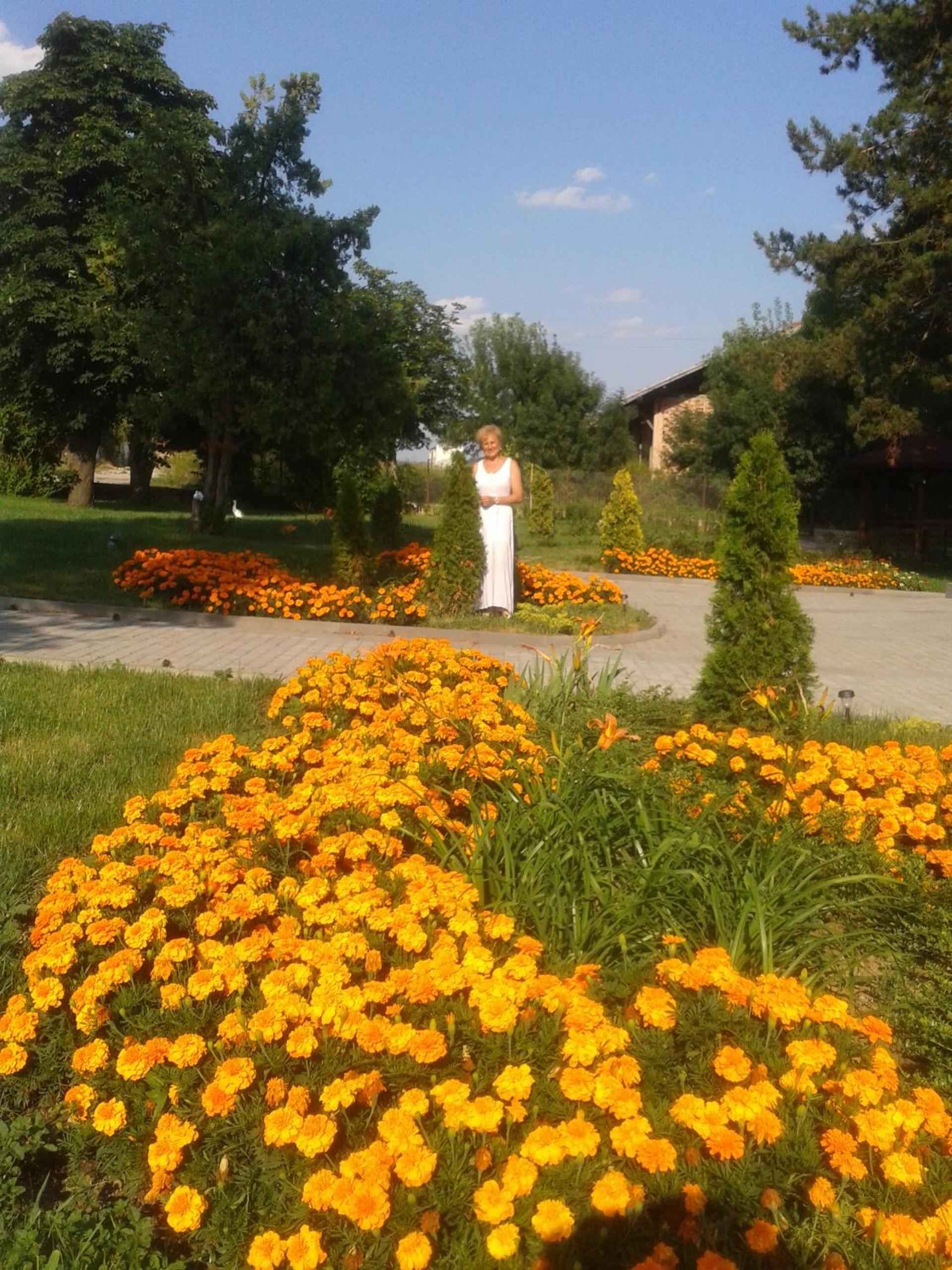 Guesthouse Gostilitsa