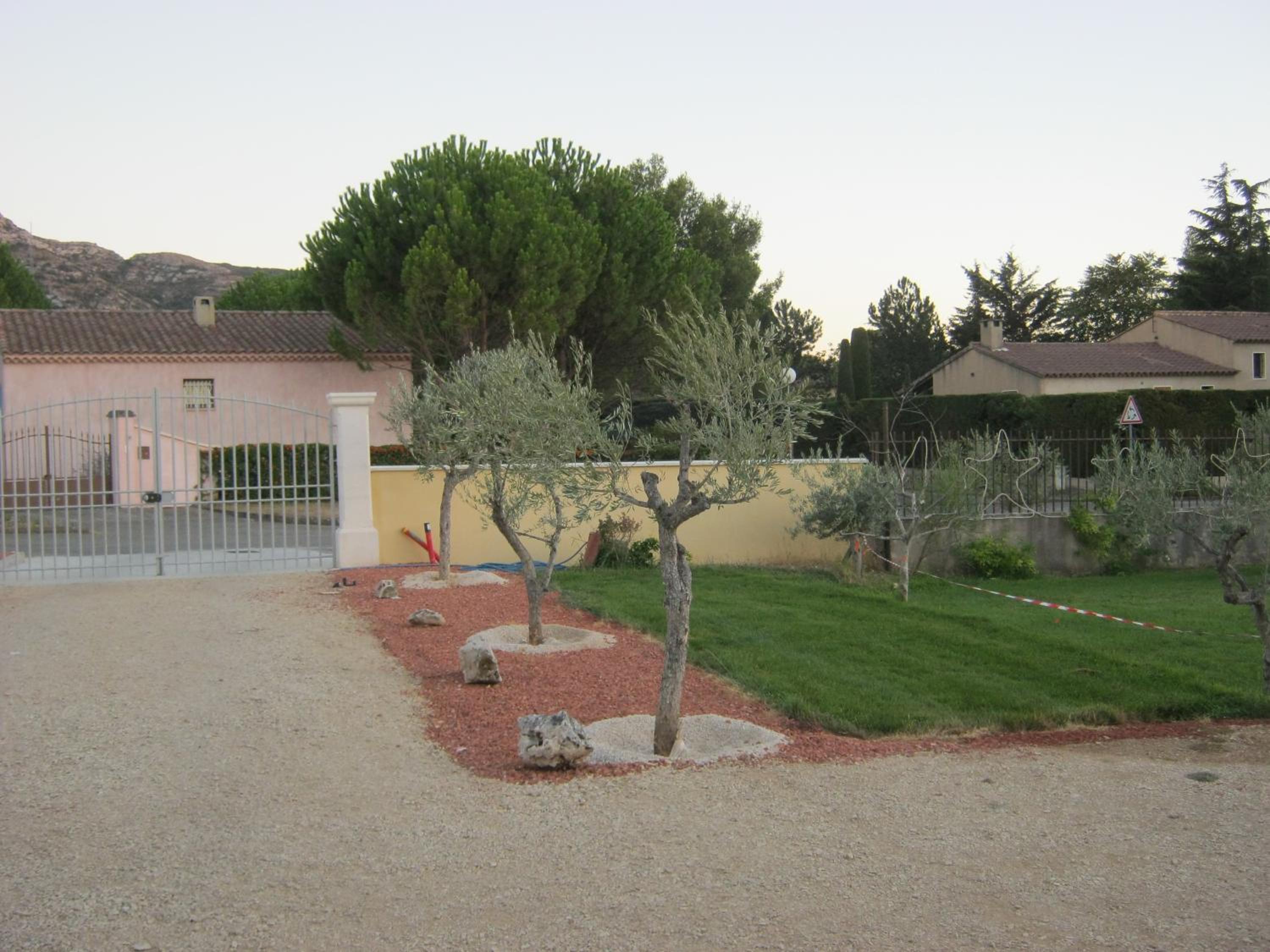 Photo 5