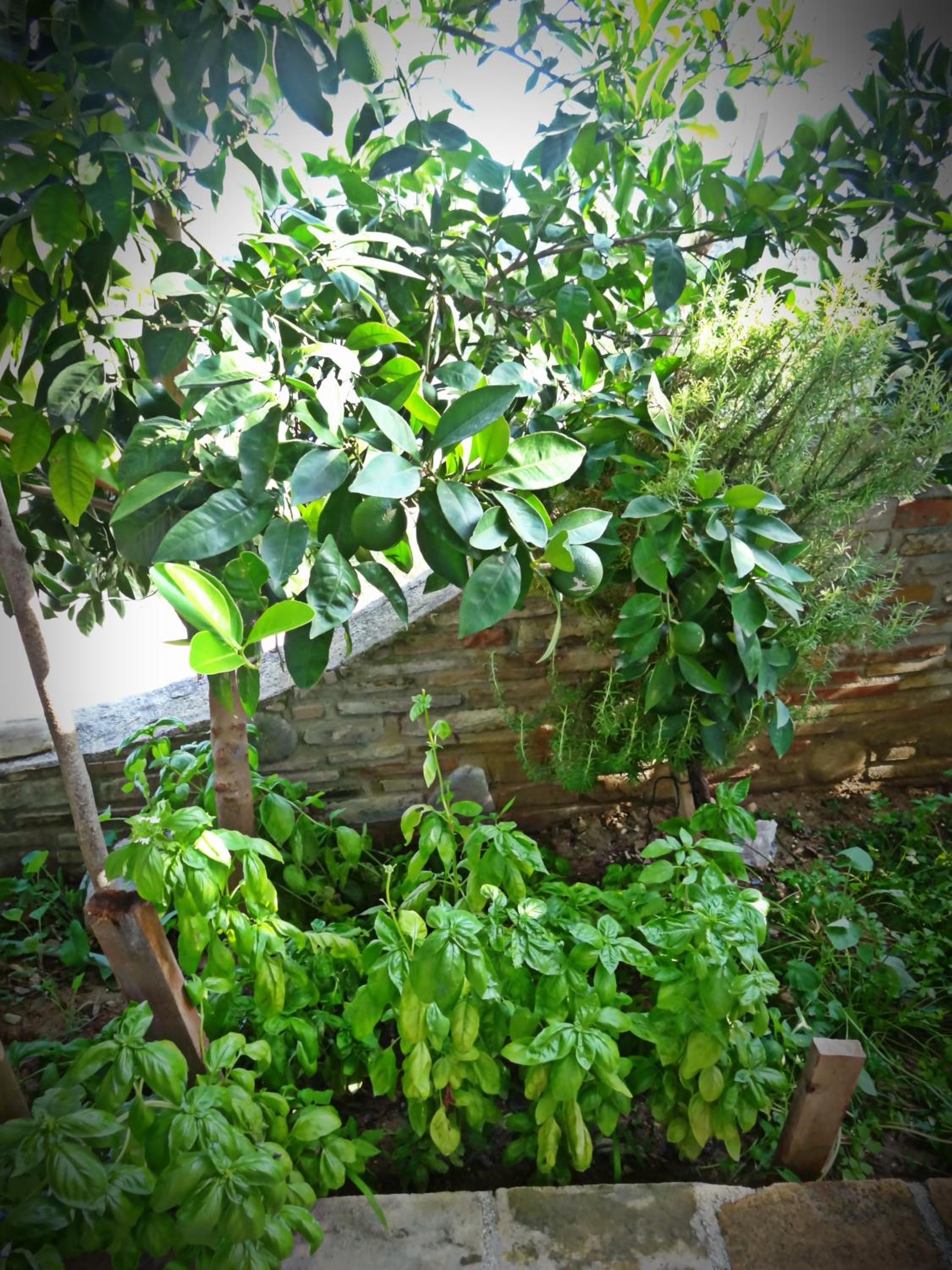 Casale del Sole