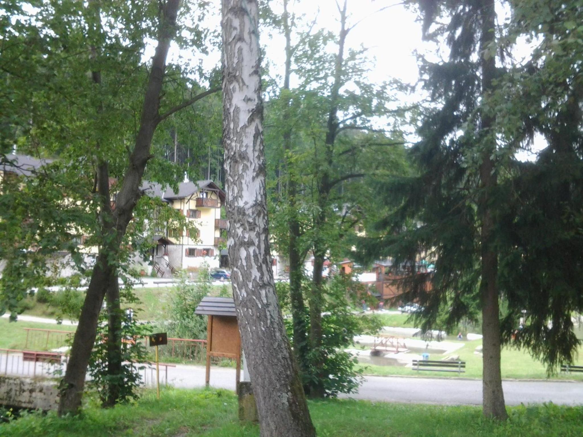 Photo 64