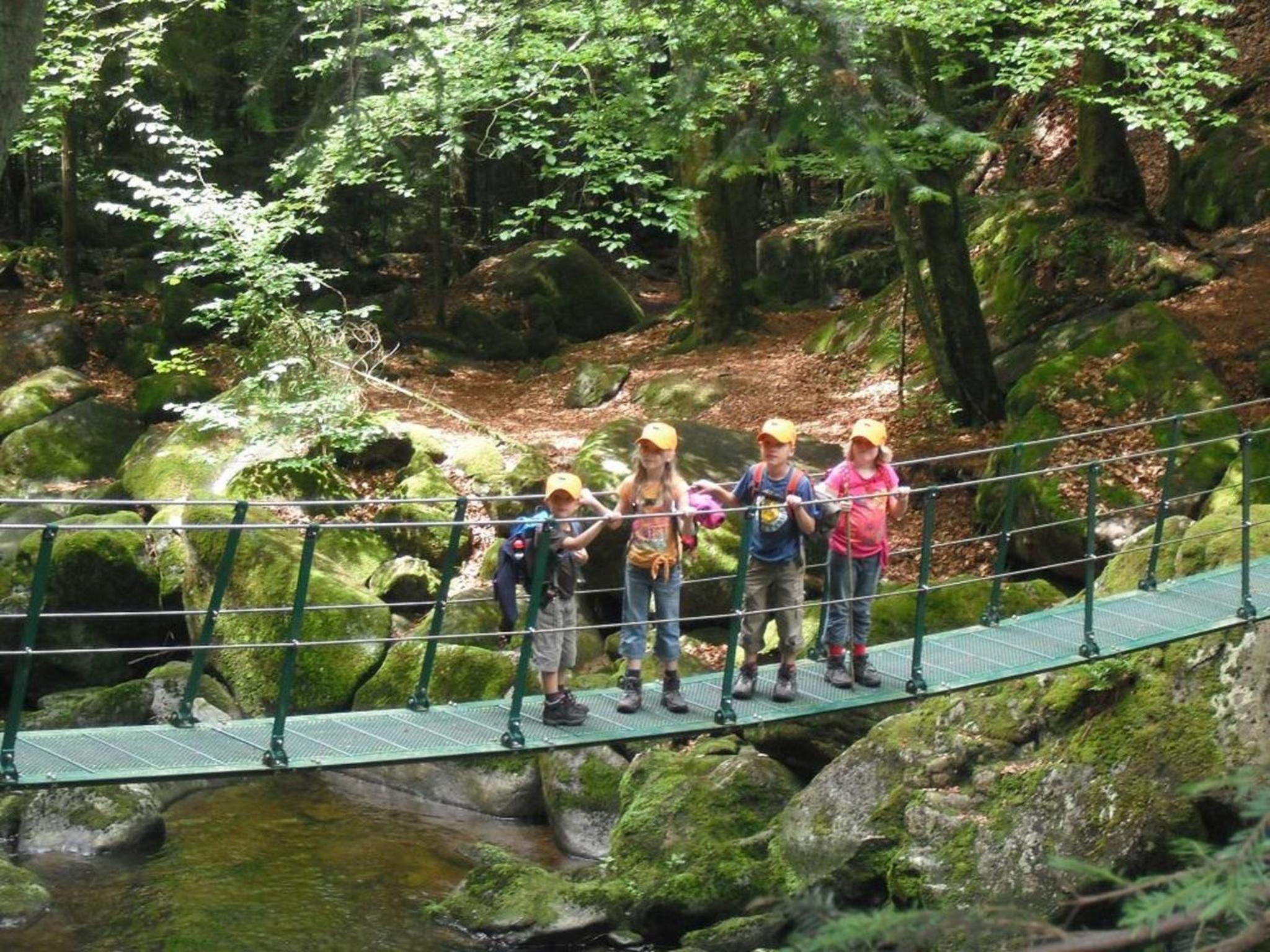 Landurlaub bei Familie Haug view 5