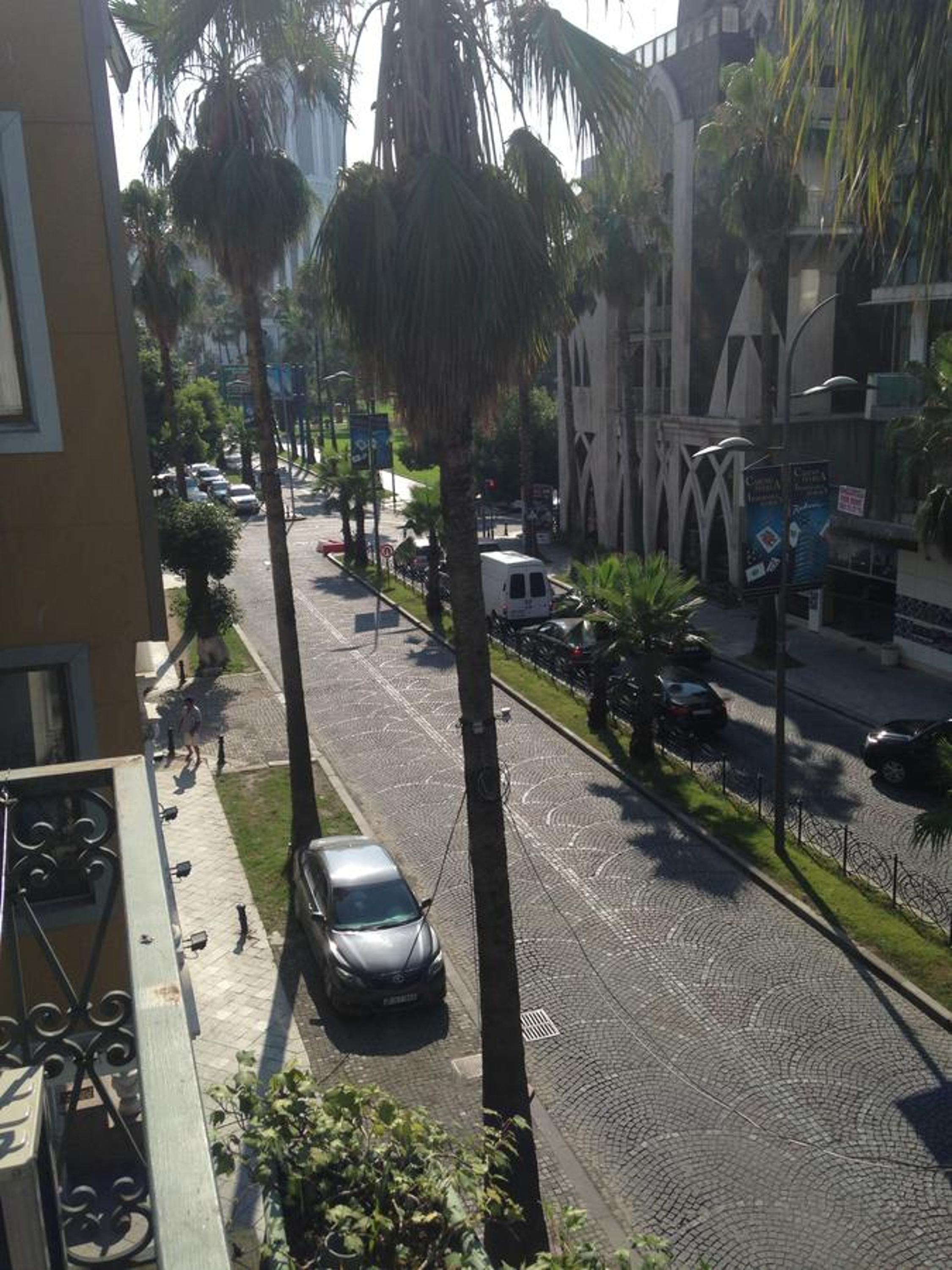 Photo 8