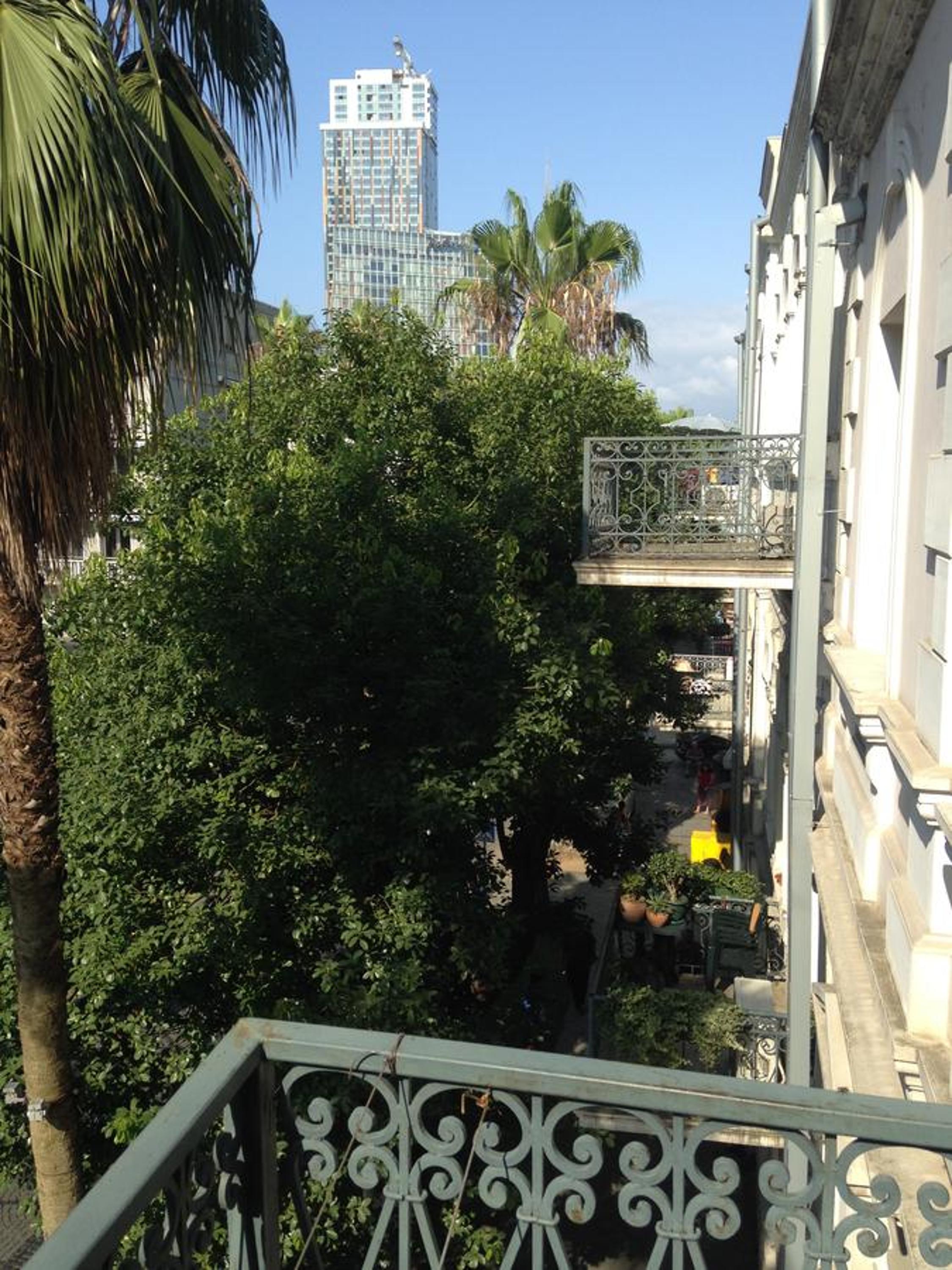 Photo 11