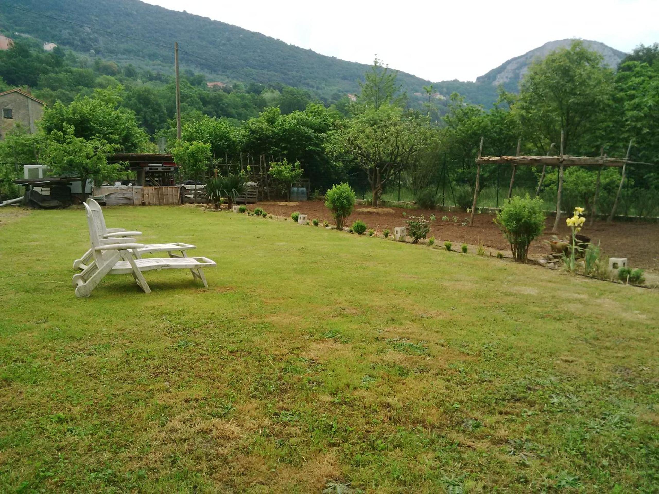 Photo 13