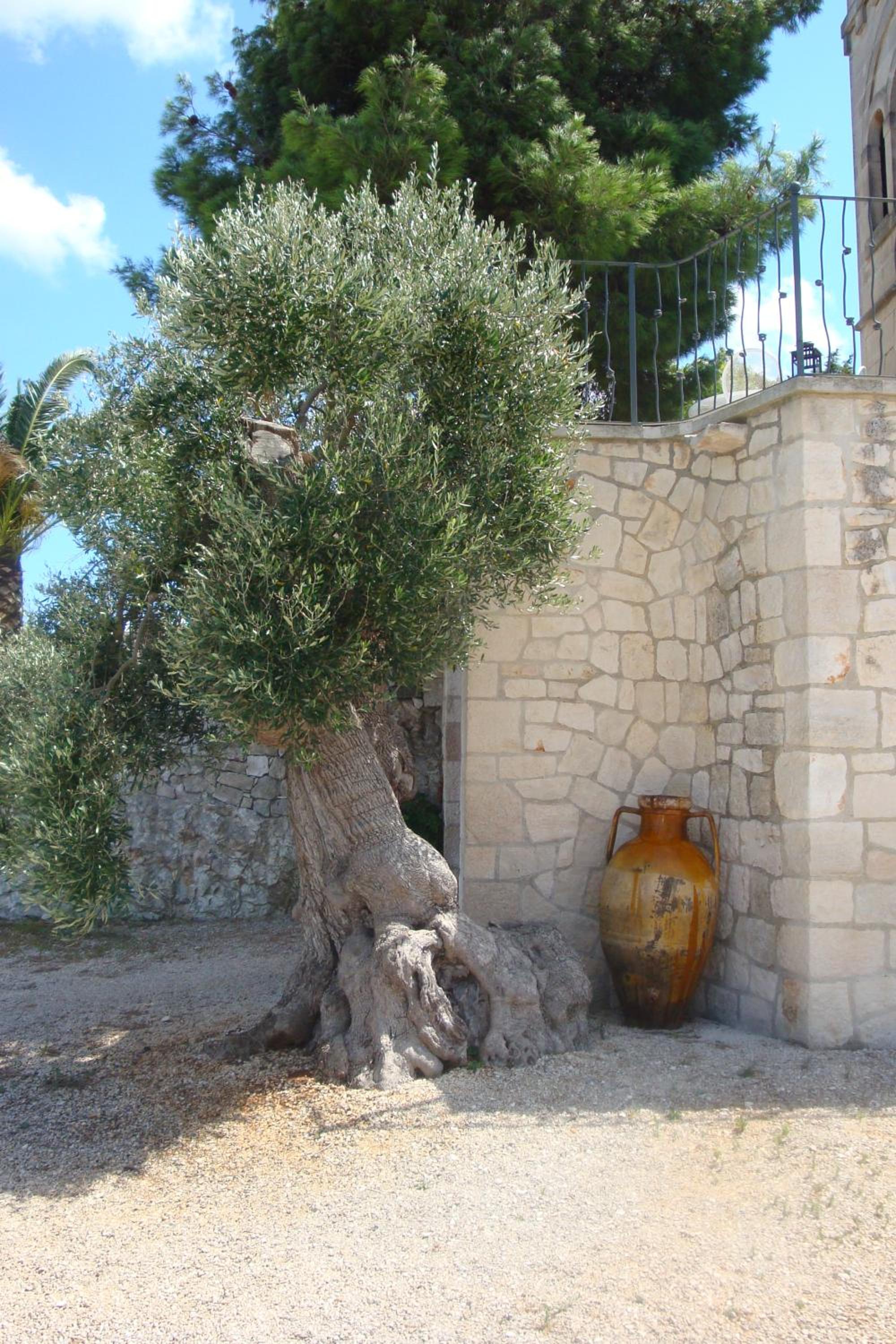 Photo 26