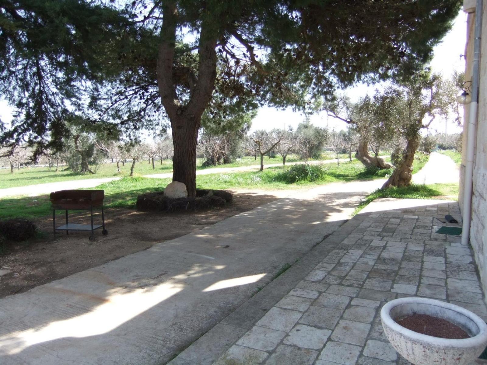 Masseria La Luna Nel Pozzo