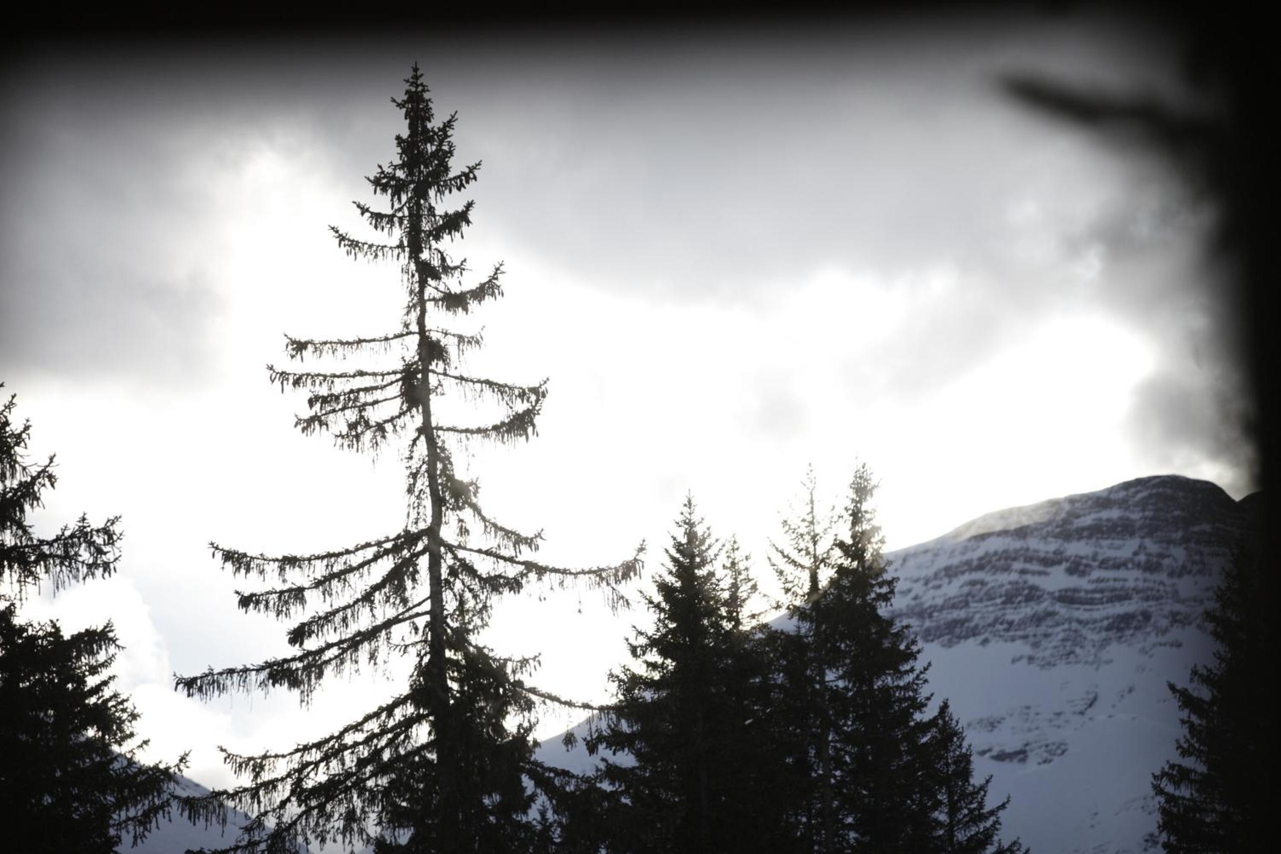Haus Obdr Lech