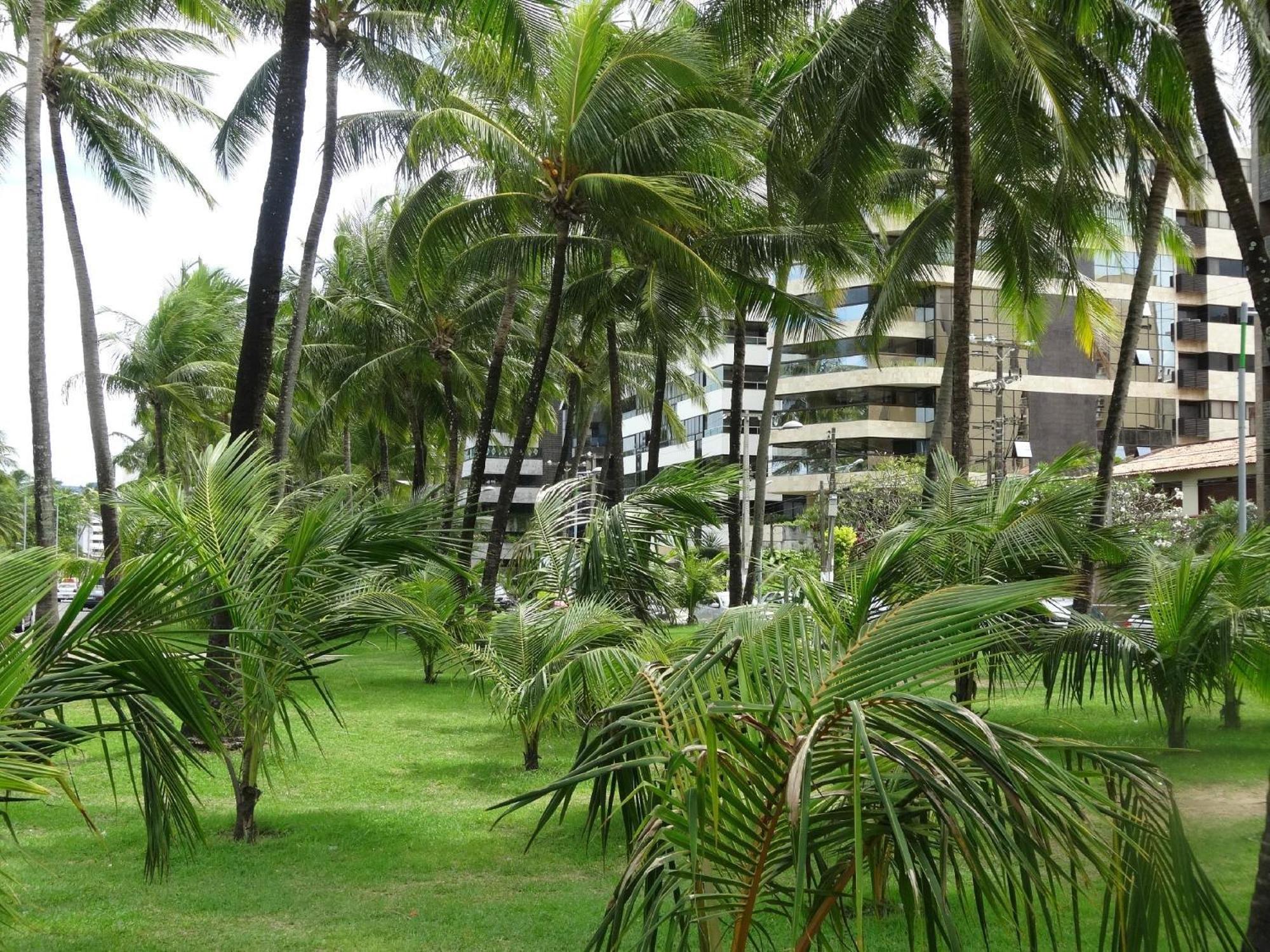Costa Nova VIP - Flat moderno e aconchegante em Ponta Verde