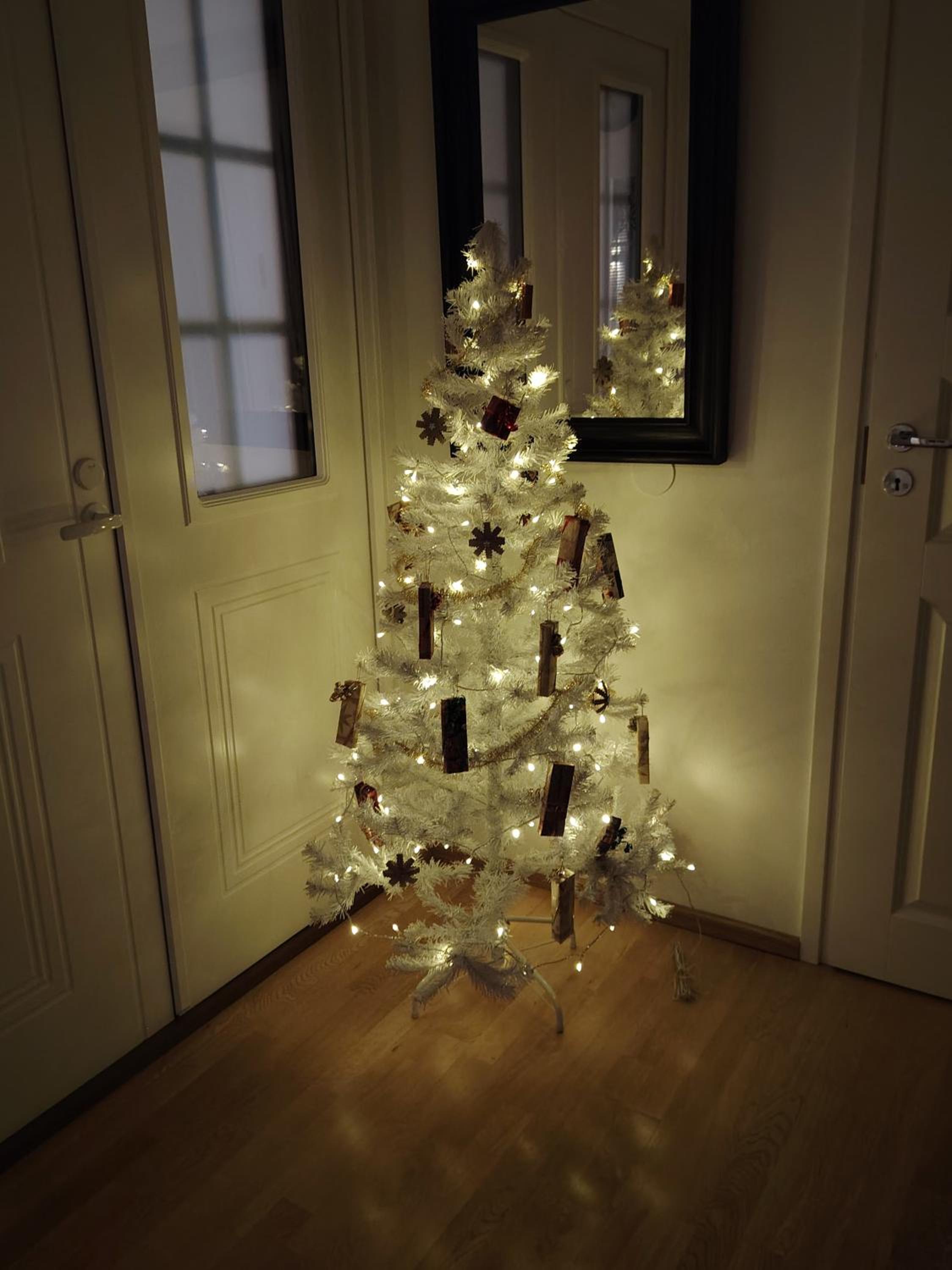Santa Claus apartment 2 - 5 people