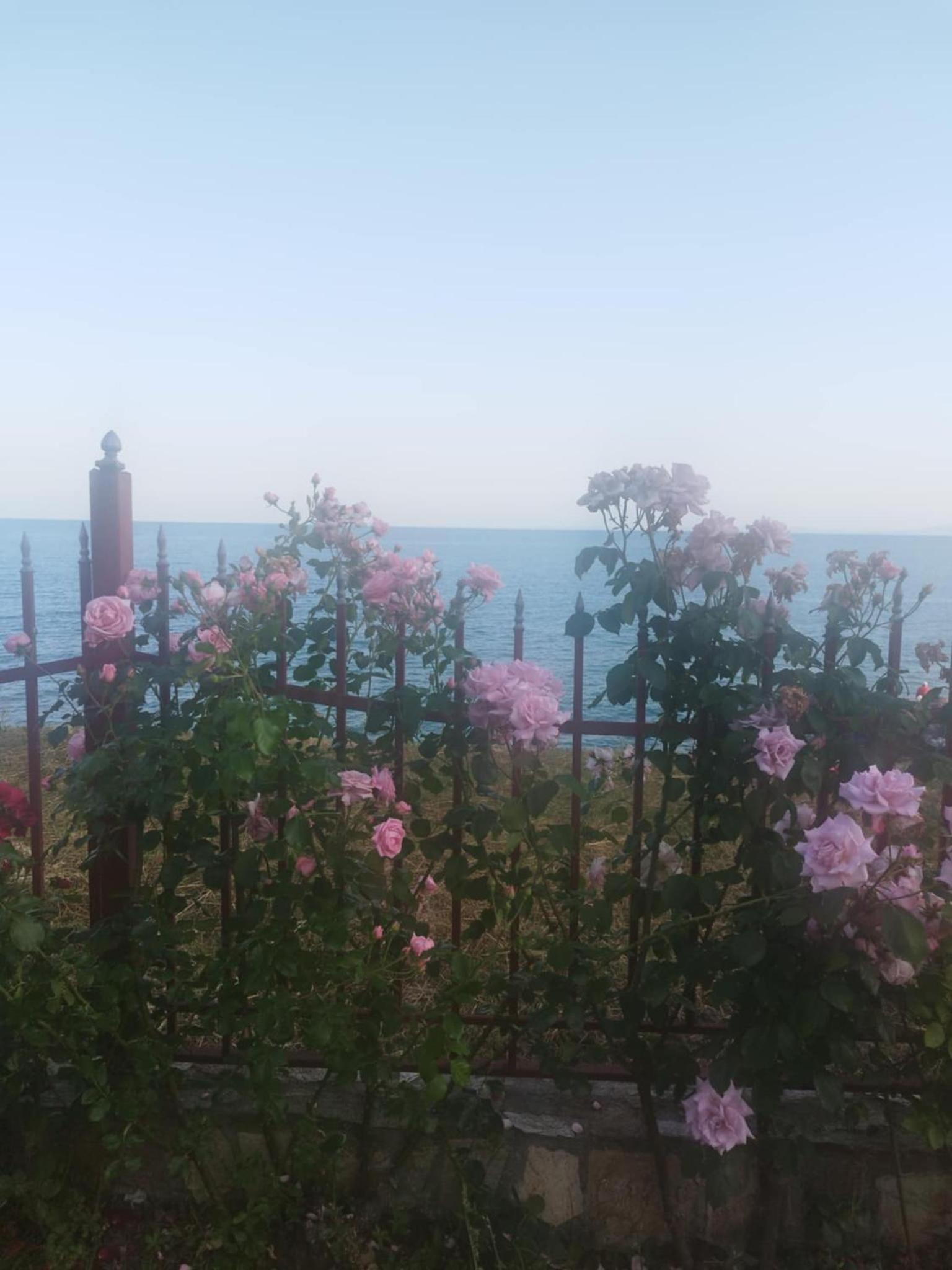 Fort Noks Grand Resort Wave&Dreams