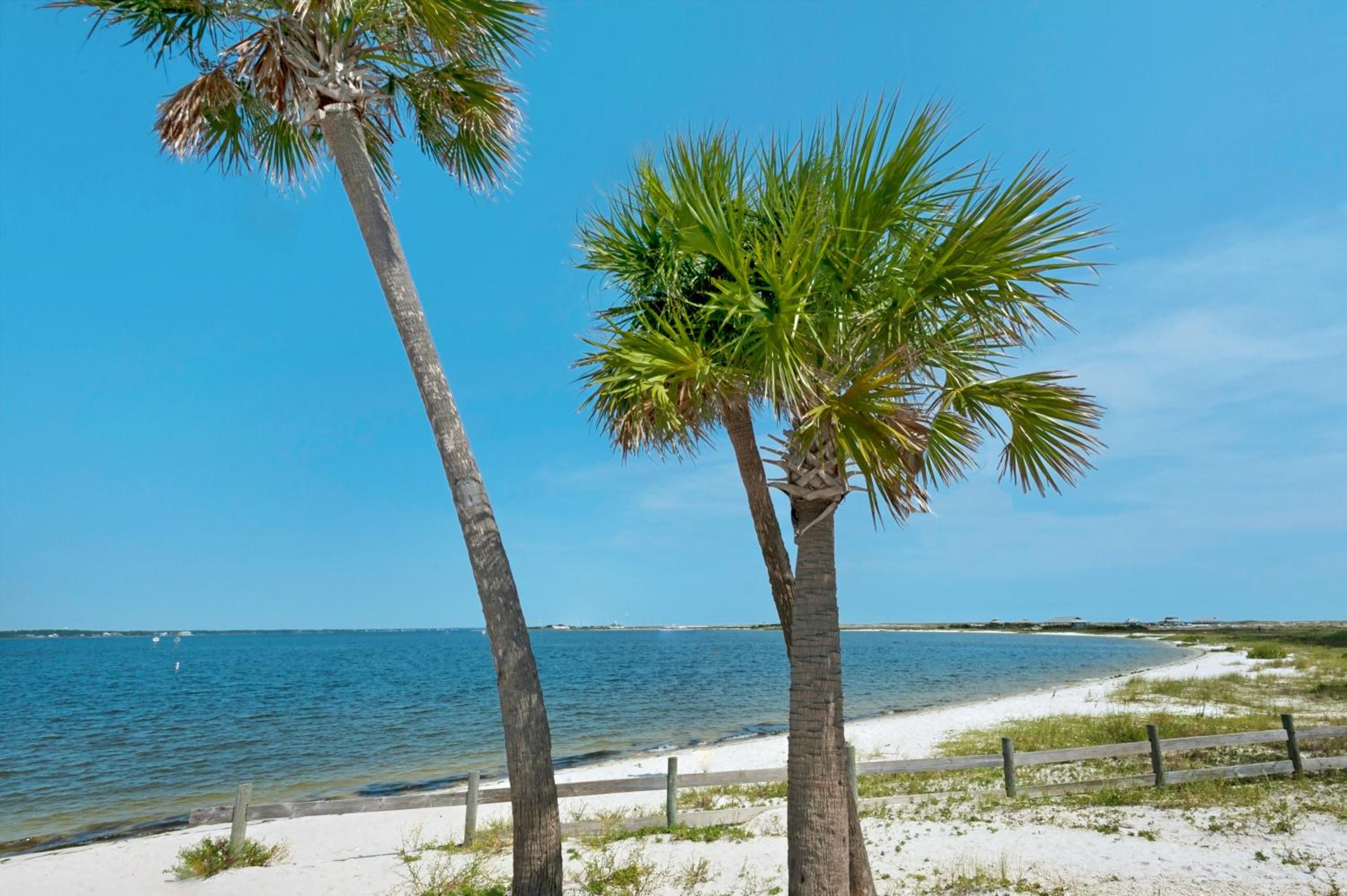 Lil Nauti - Beachfront Condo