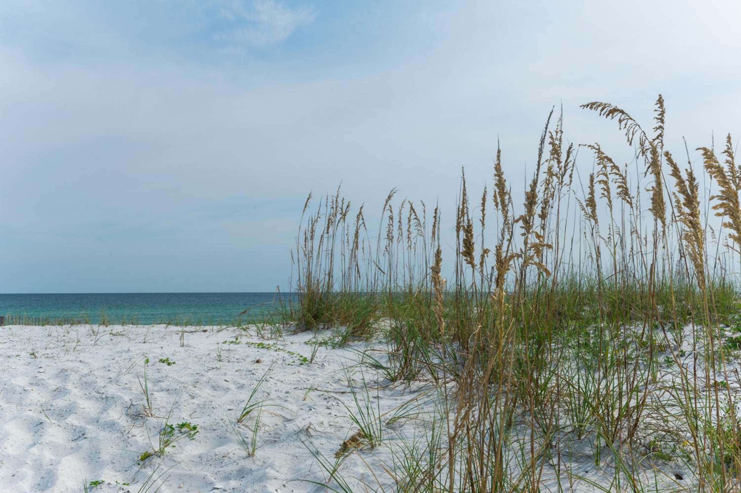 Lil Nauti - Beachfront Condo