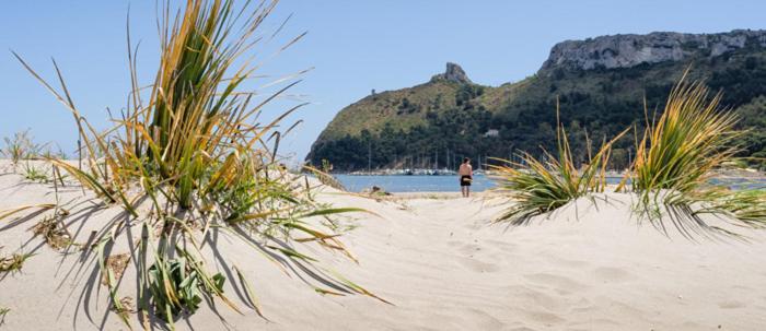 Is Pardinas en SantʼAndrea