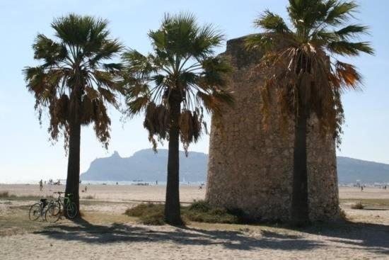 Is Pardinas en SantʼAndrea