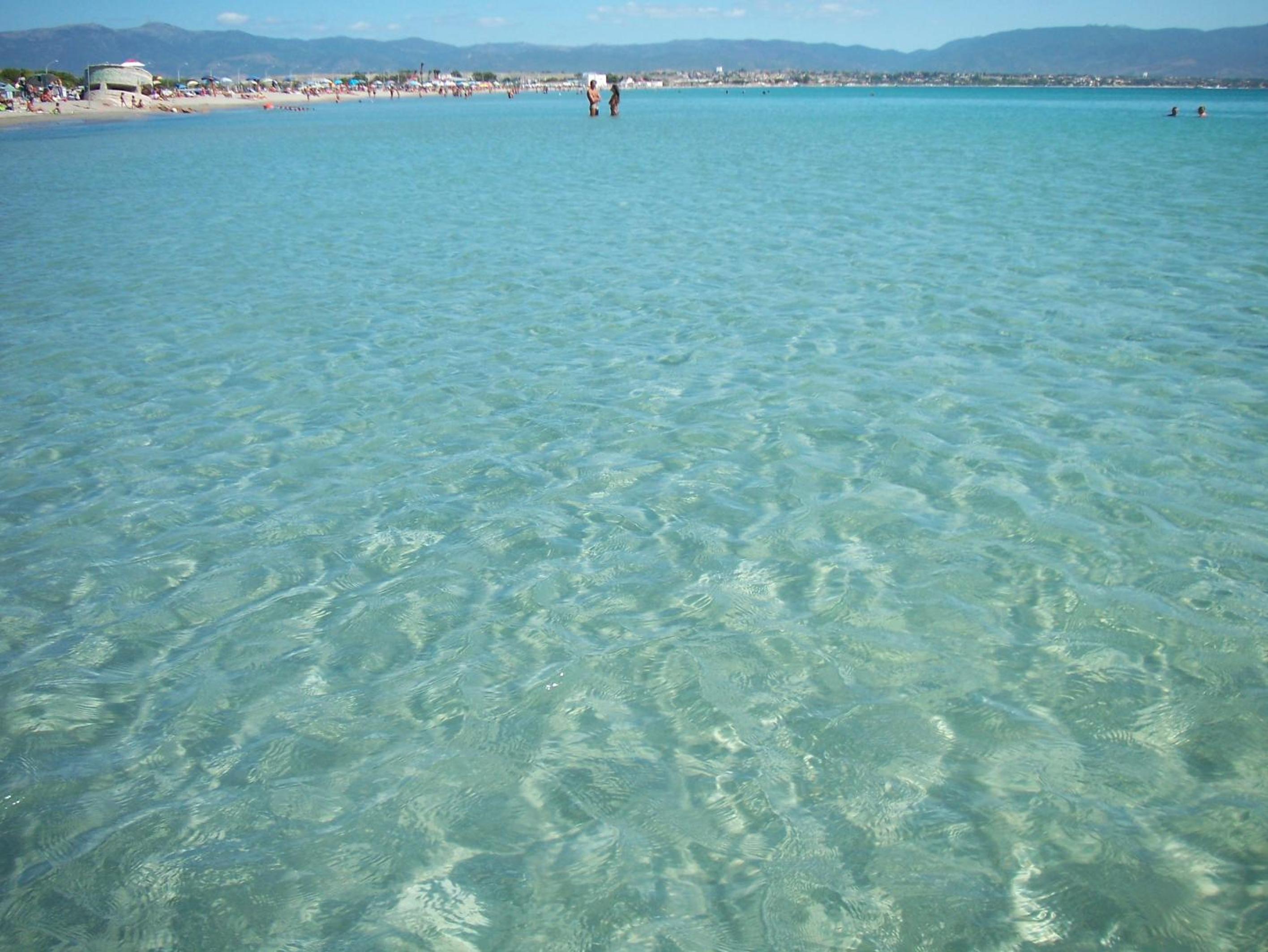 Is Pardinas en SantʼAndrea