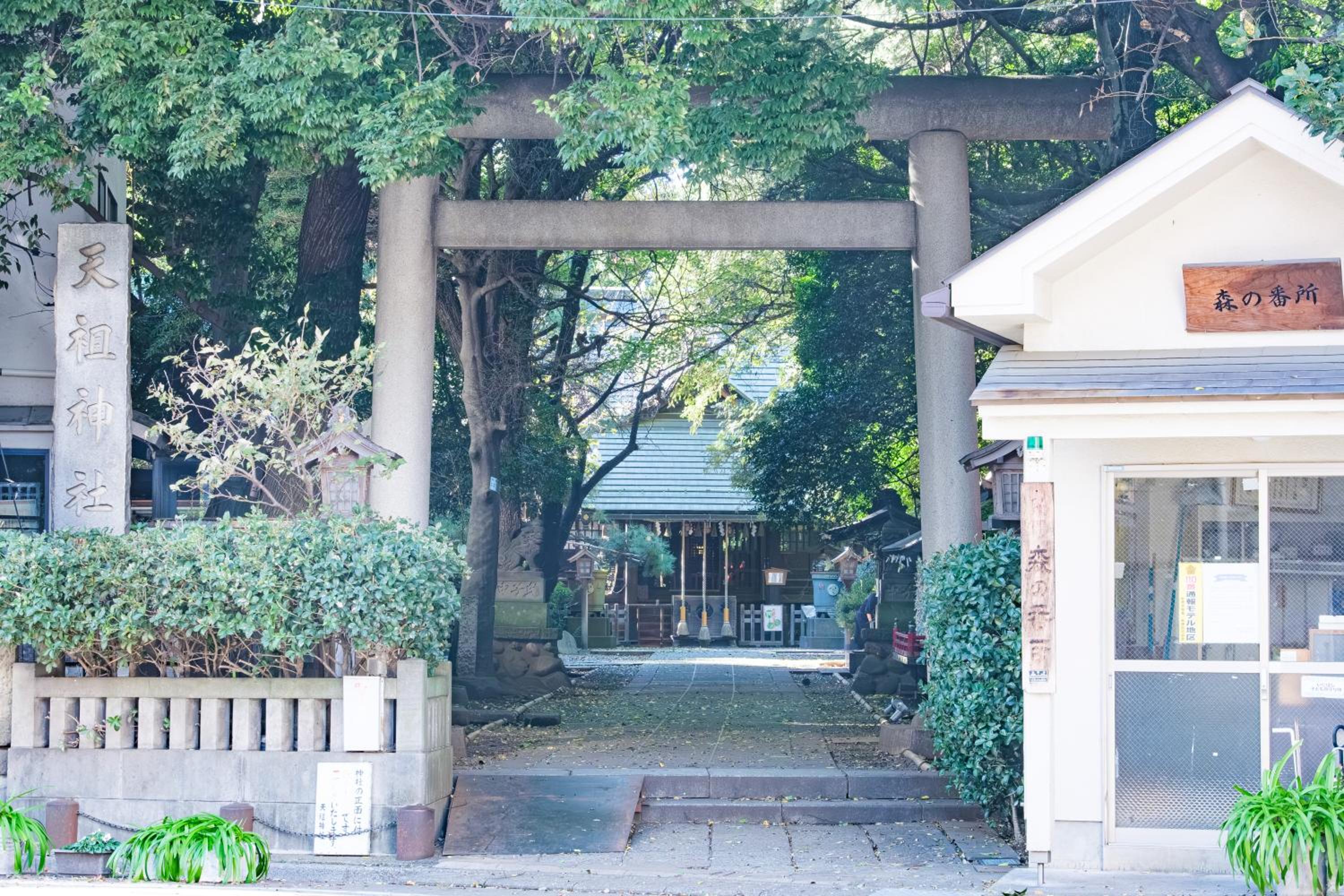 Comfy Stay Tokiwadai 2minute walk from Tokiwadai Station Ikebukuro 9min Shinjuku 14min Shibuya 18min Max 4guests Many restaurants nearby hot spring Shrine