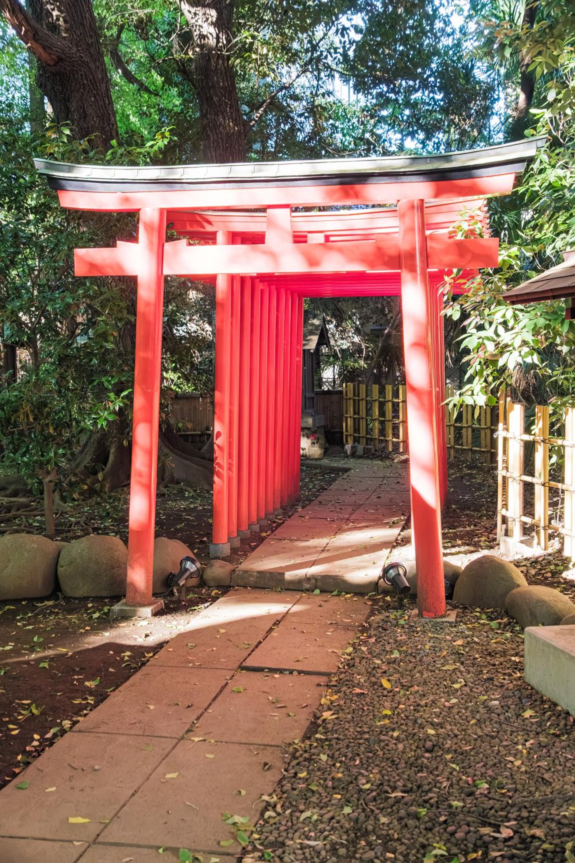 Comfy Stay Tokiwadai 2minute walk from Tokiwadai Station Ikebukuro 9min Shinjuku 14min Shibuya 18min Max 4guests Many restaurants nearby hot spring Shrine