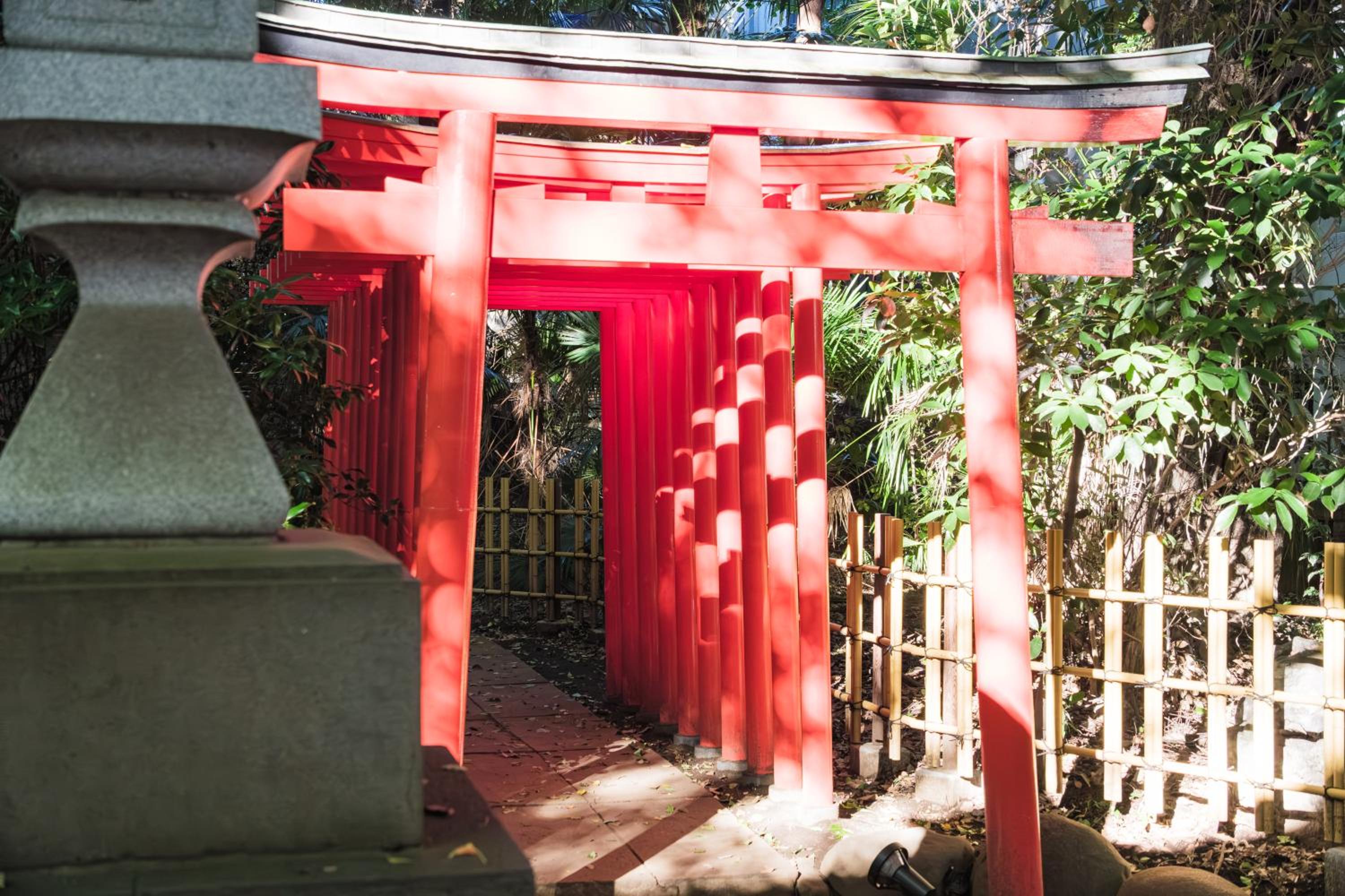 Comfy Stay Tokiwadai 2minute walk from Tokiwadai Station Ikebukuro 9min Shinjuku 14min Shibuya 18min Max 4guests Many restaurants nearby hot spring Shrine