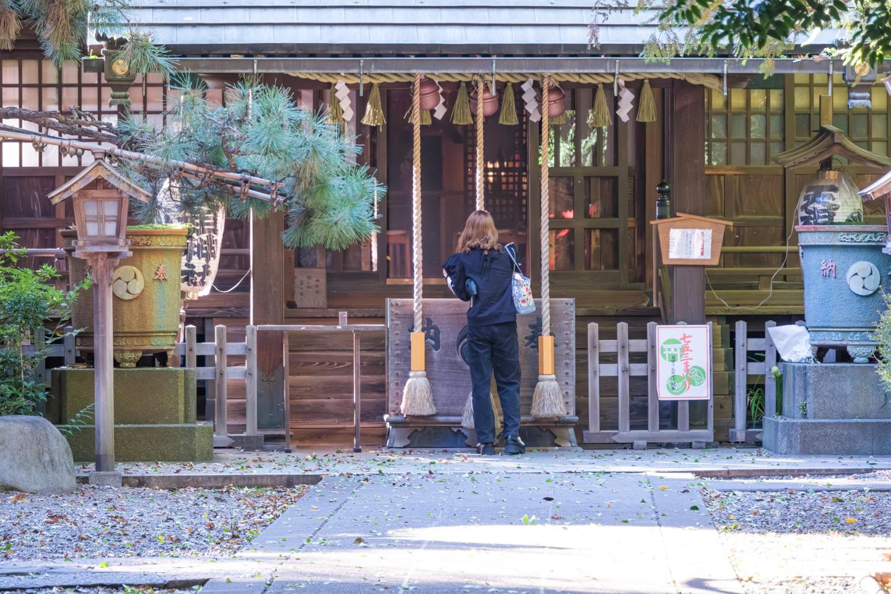 Comfy Stay Tokiwadai 2minute walk from Tokiwadai Station Ikebukuro 9min Shinjuku 14min Shibuya 18min Max 4guests Many restaurants nearby hot spring Shrine