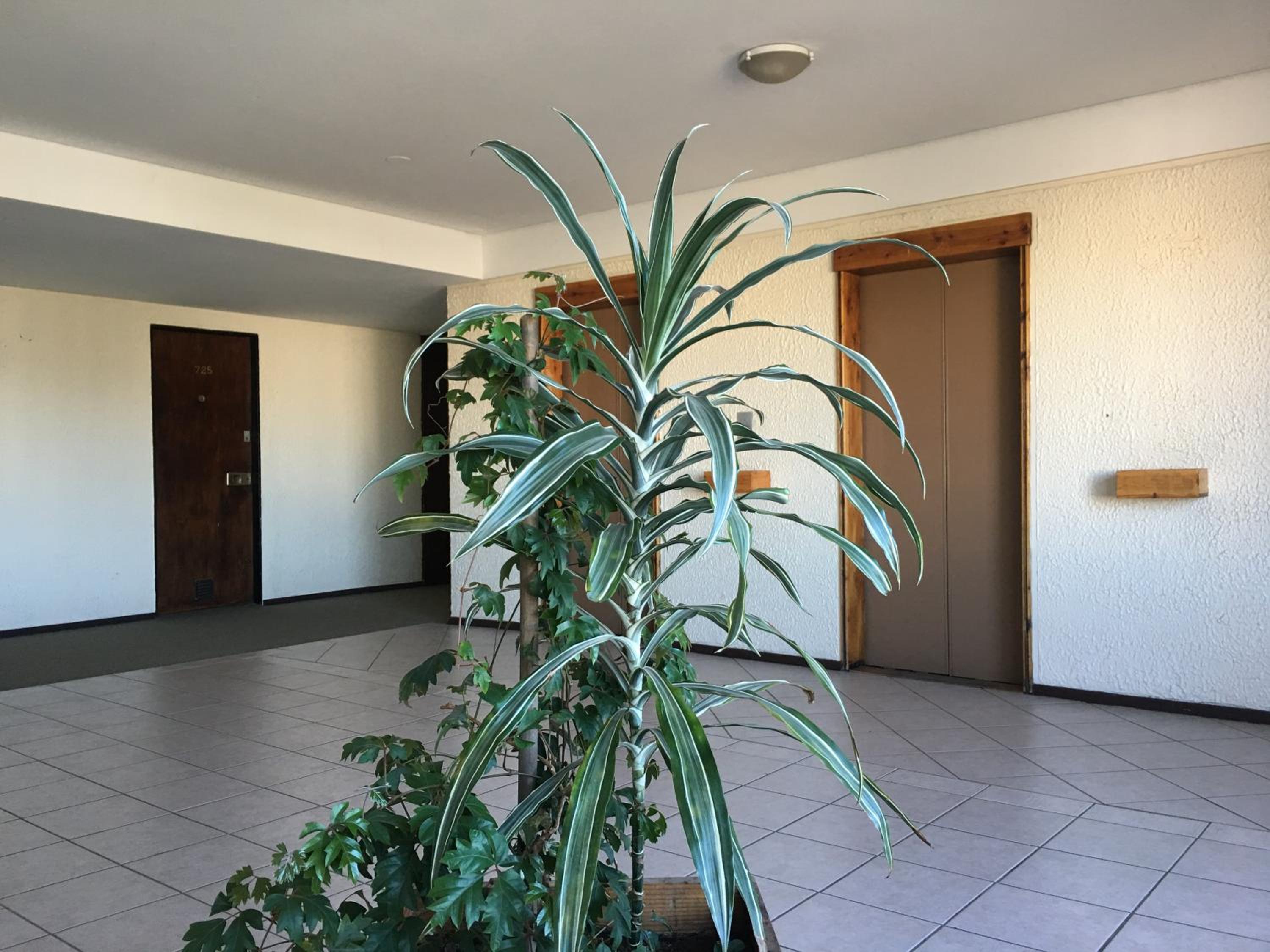 Vista Al Lago Apartments