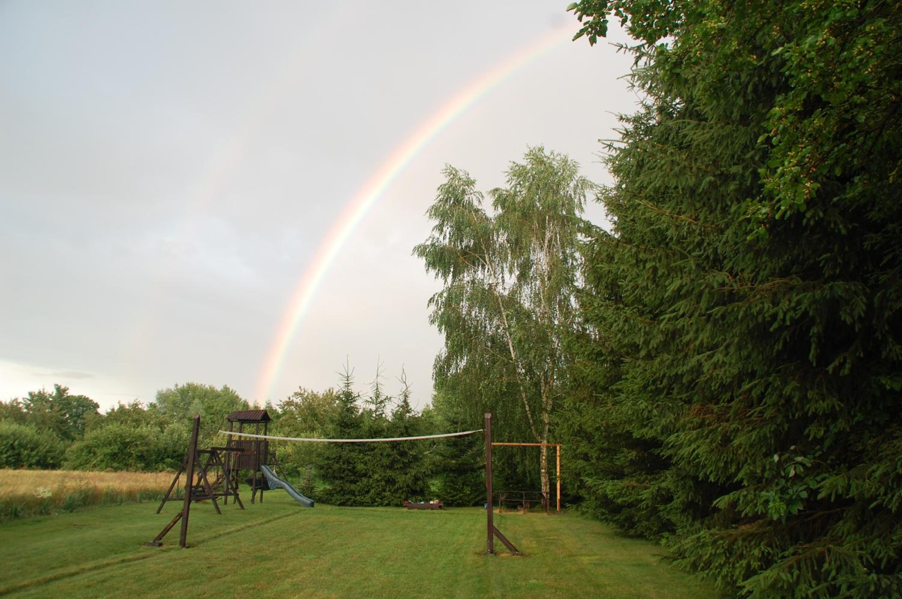 Photo 47