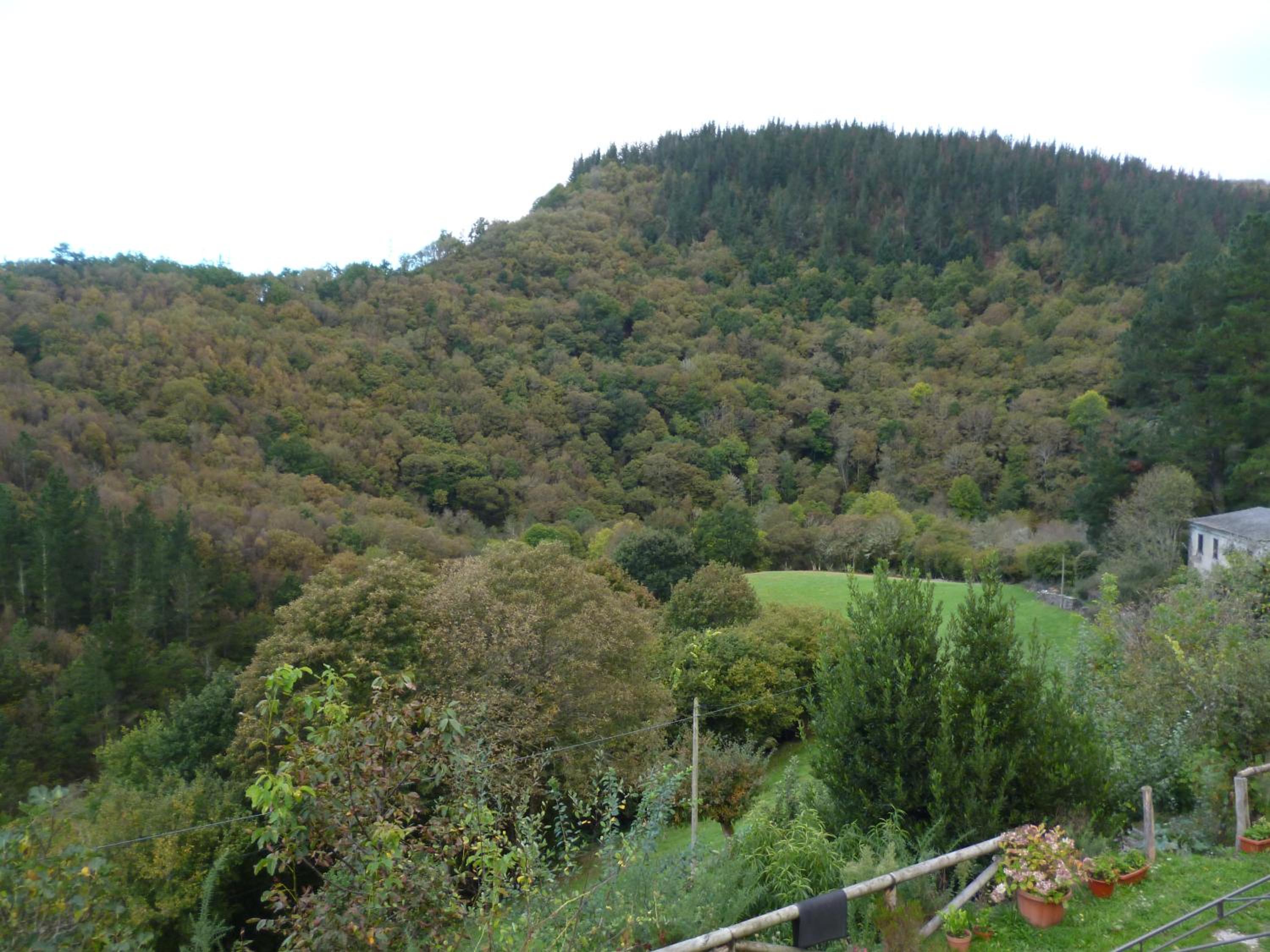 Photo 42