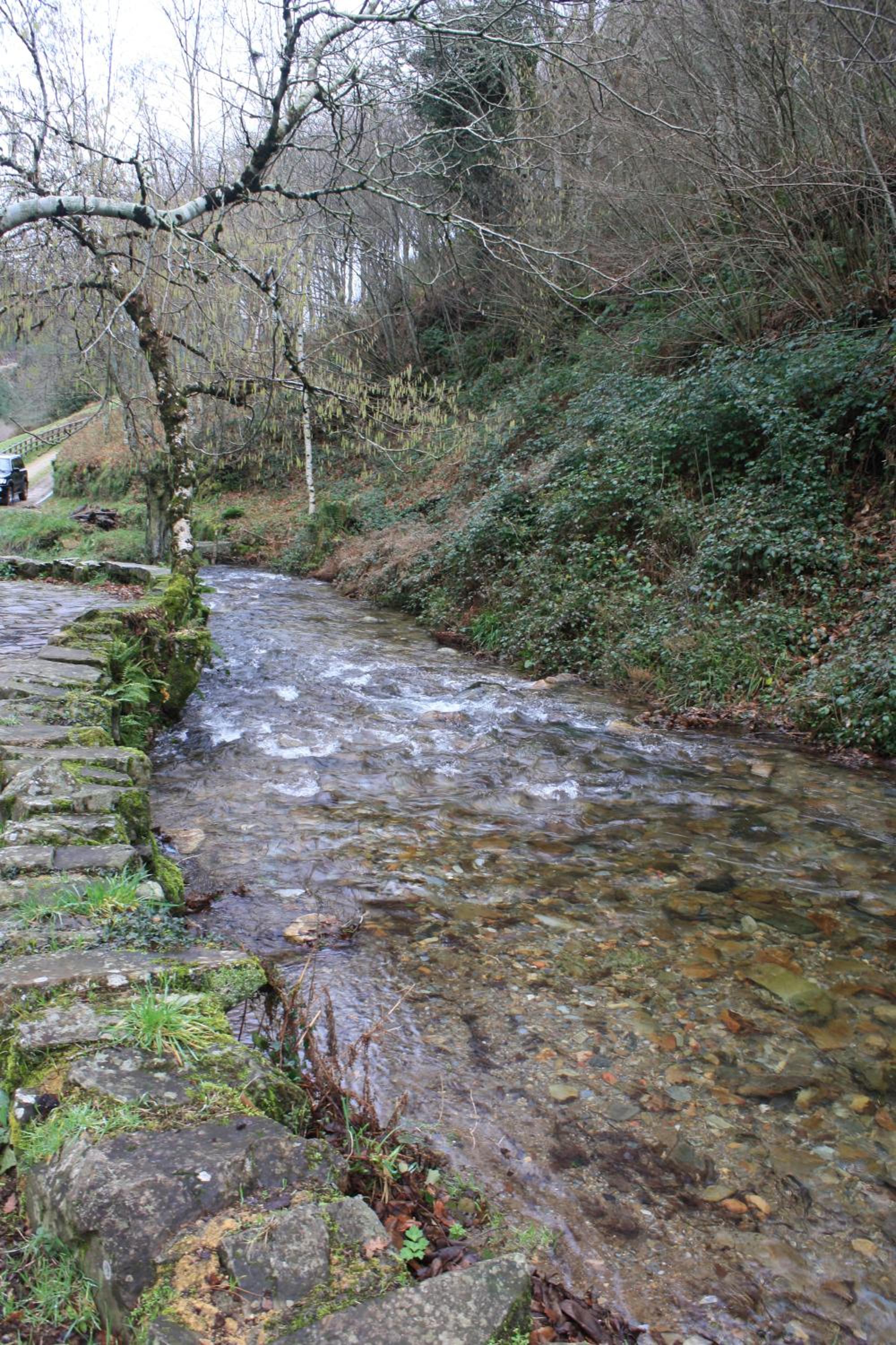 Photo 41