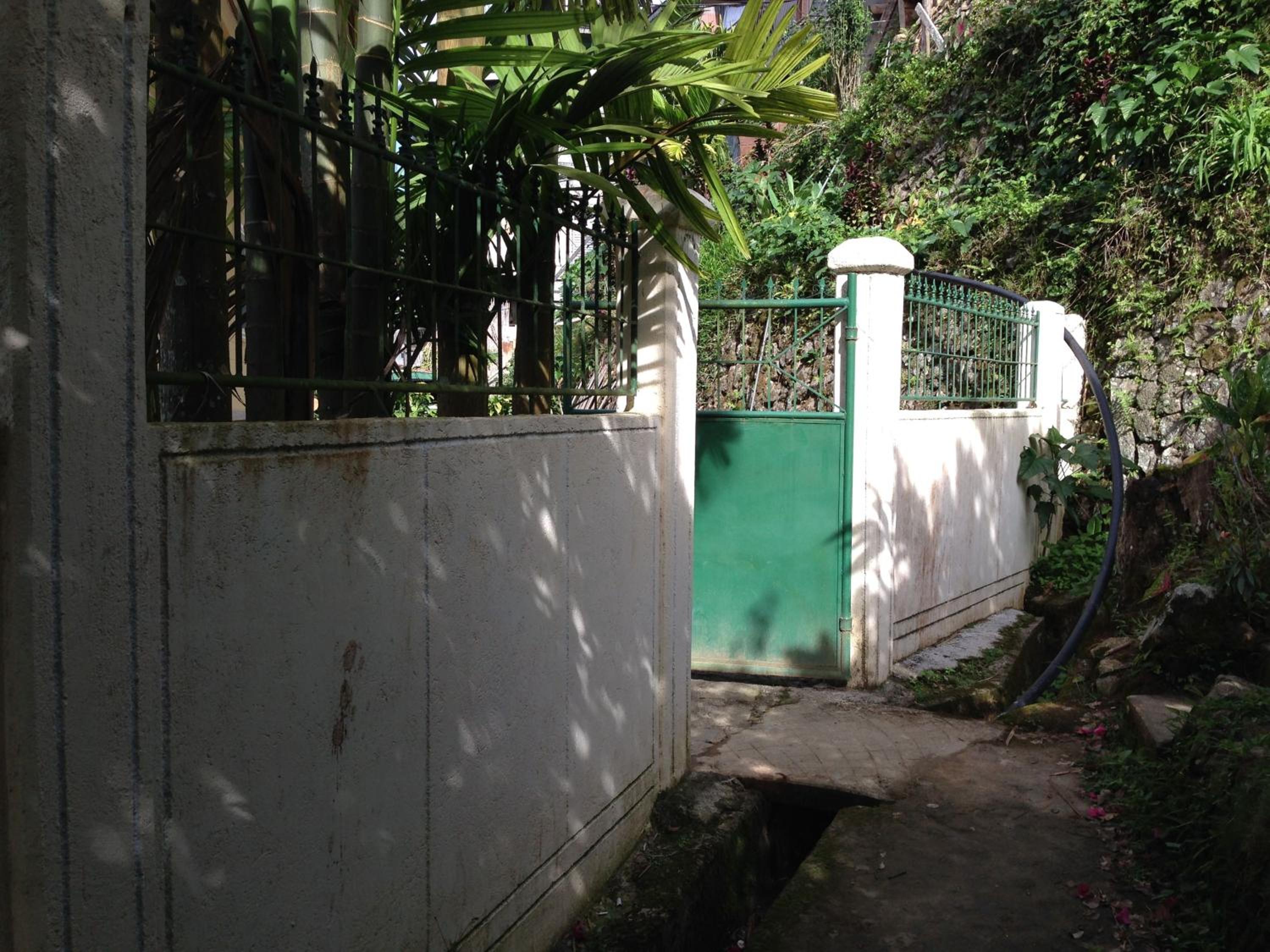 Photo 42