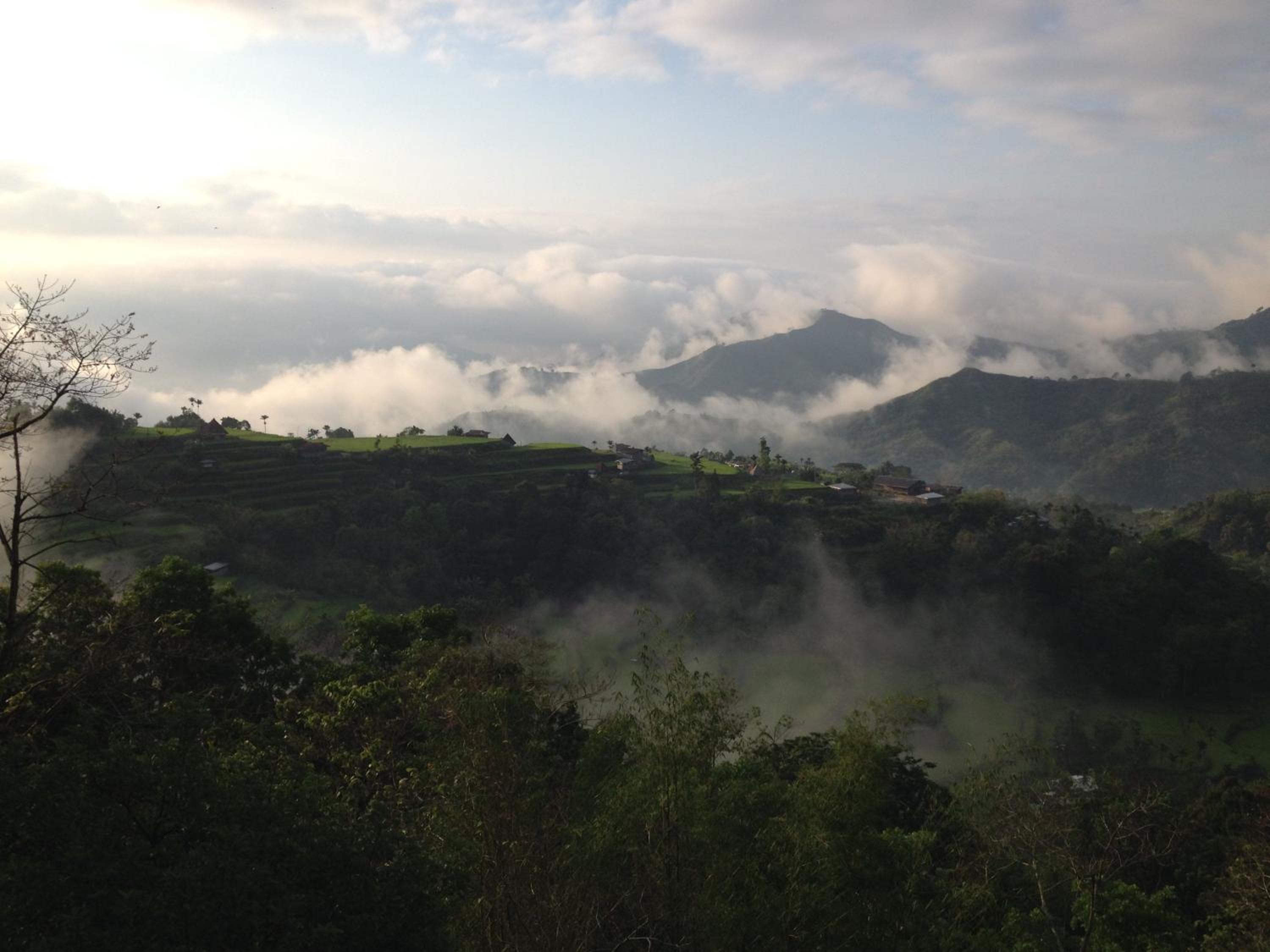 Photo 44