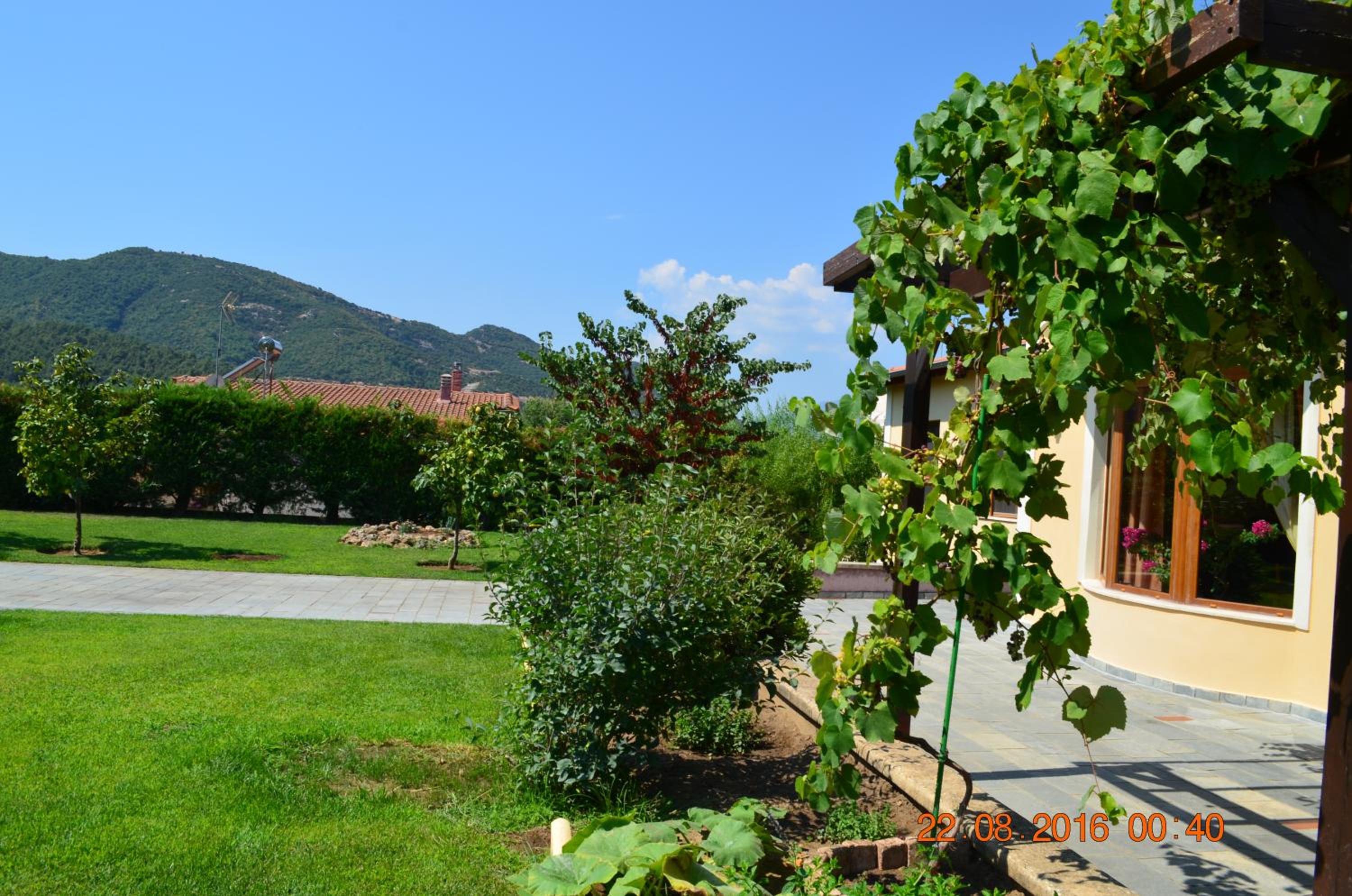 Photo 31
