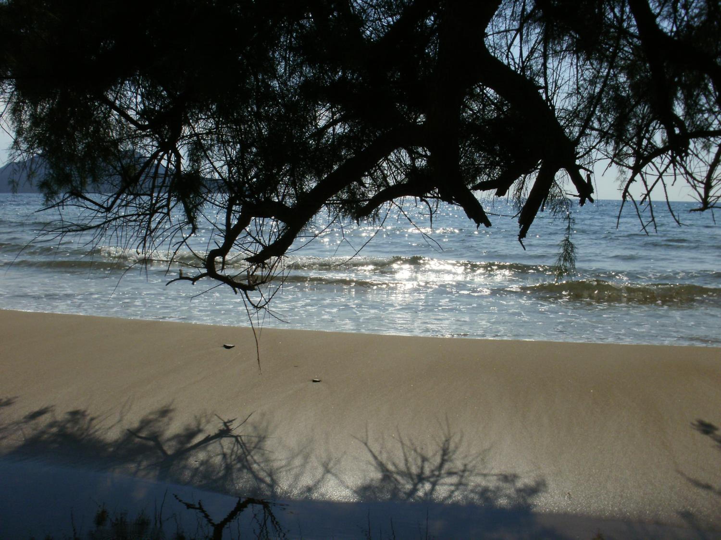 Photo 35