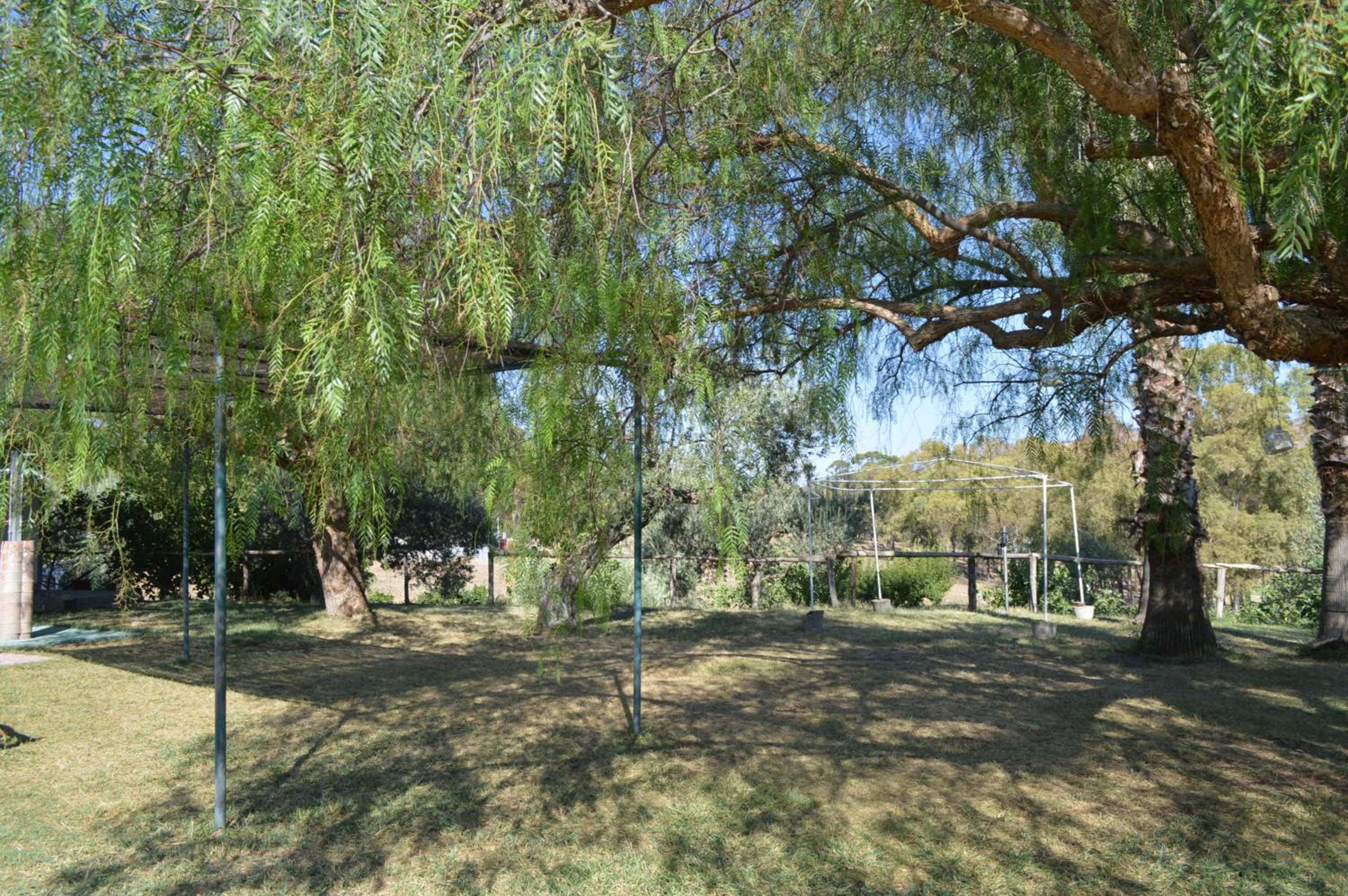 Photo 27