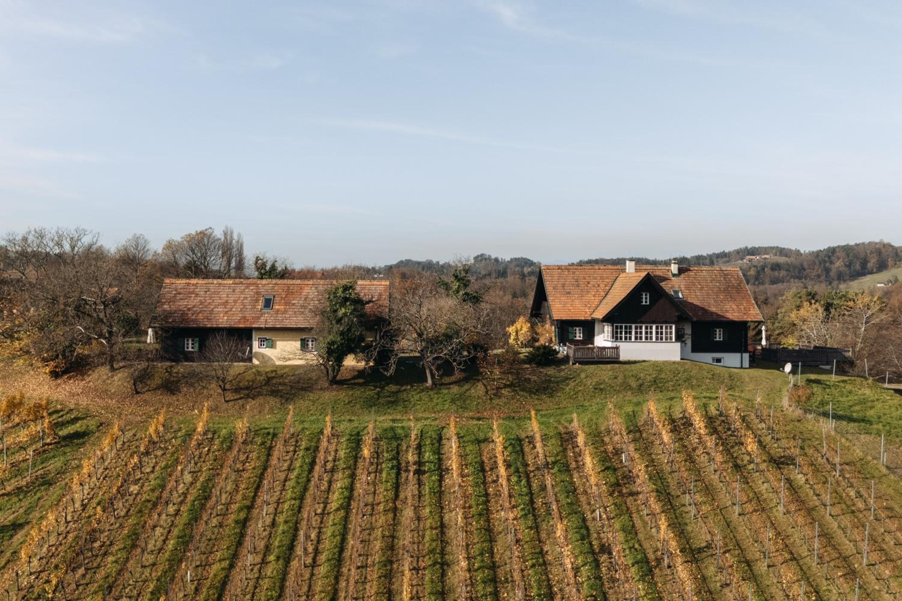 Das KRANACH 28