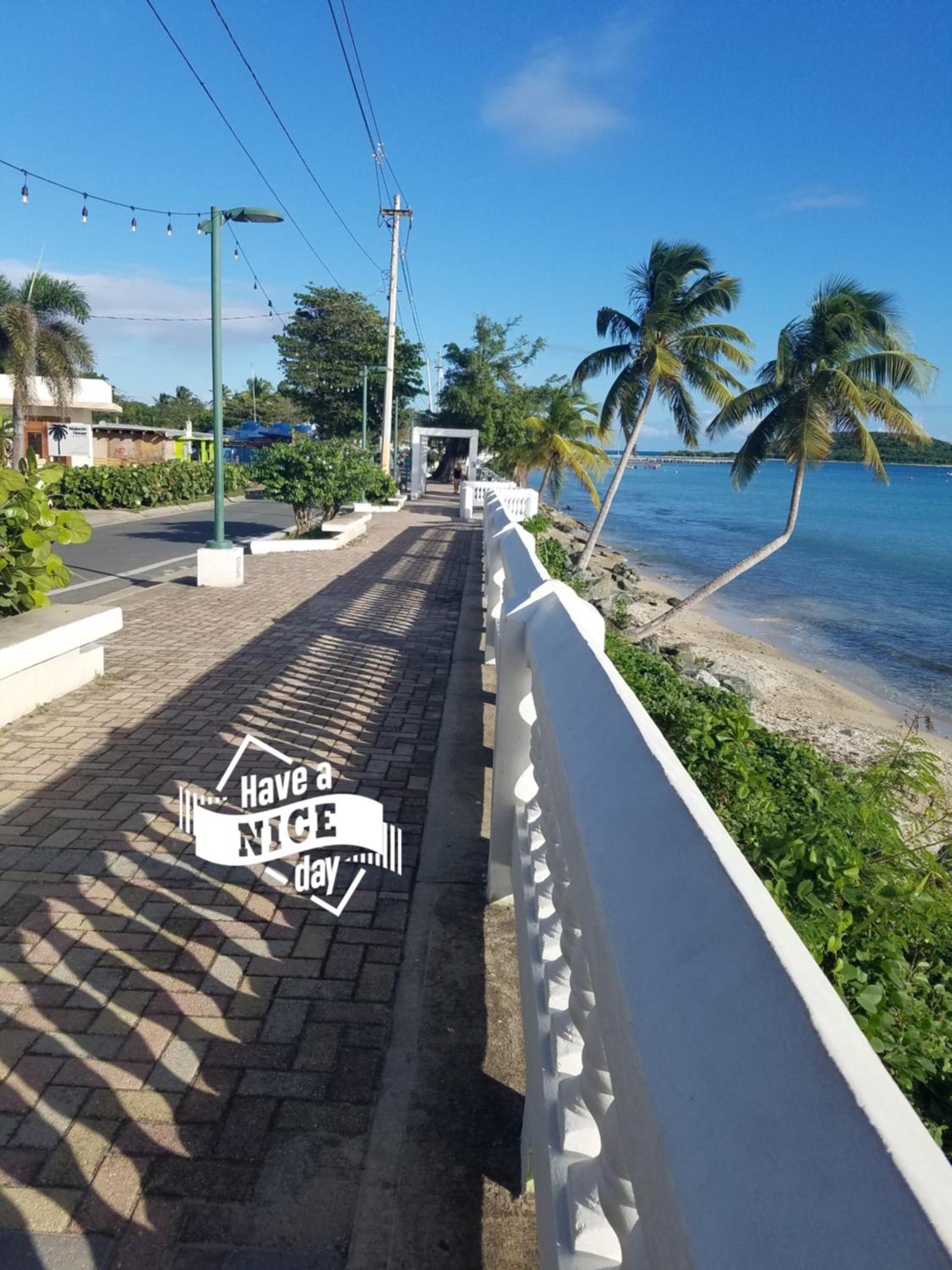 Trade Winds Restaurant & Guest House