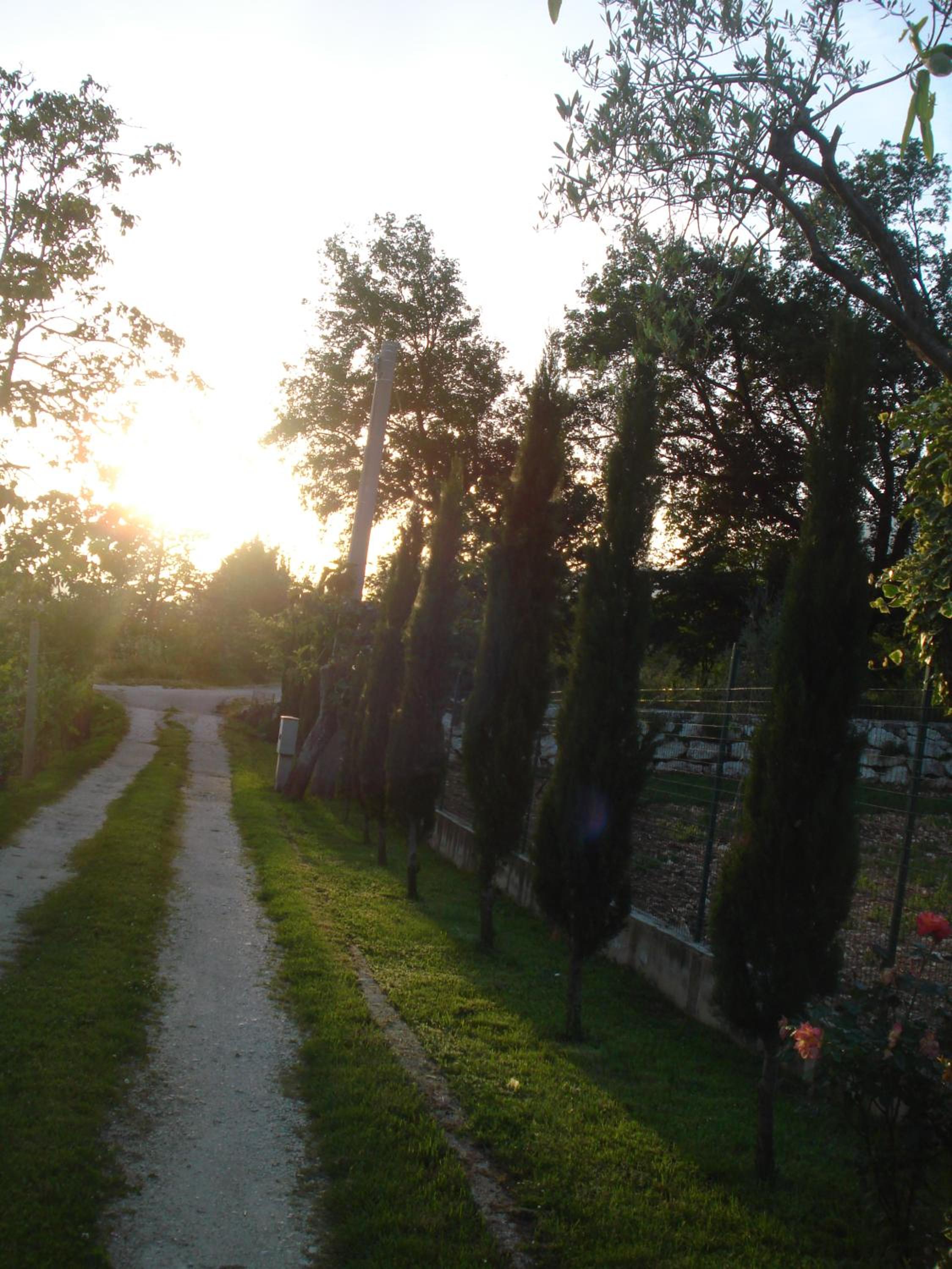 Agriturismo La Fattoria photo 3