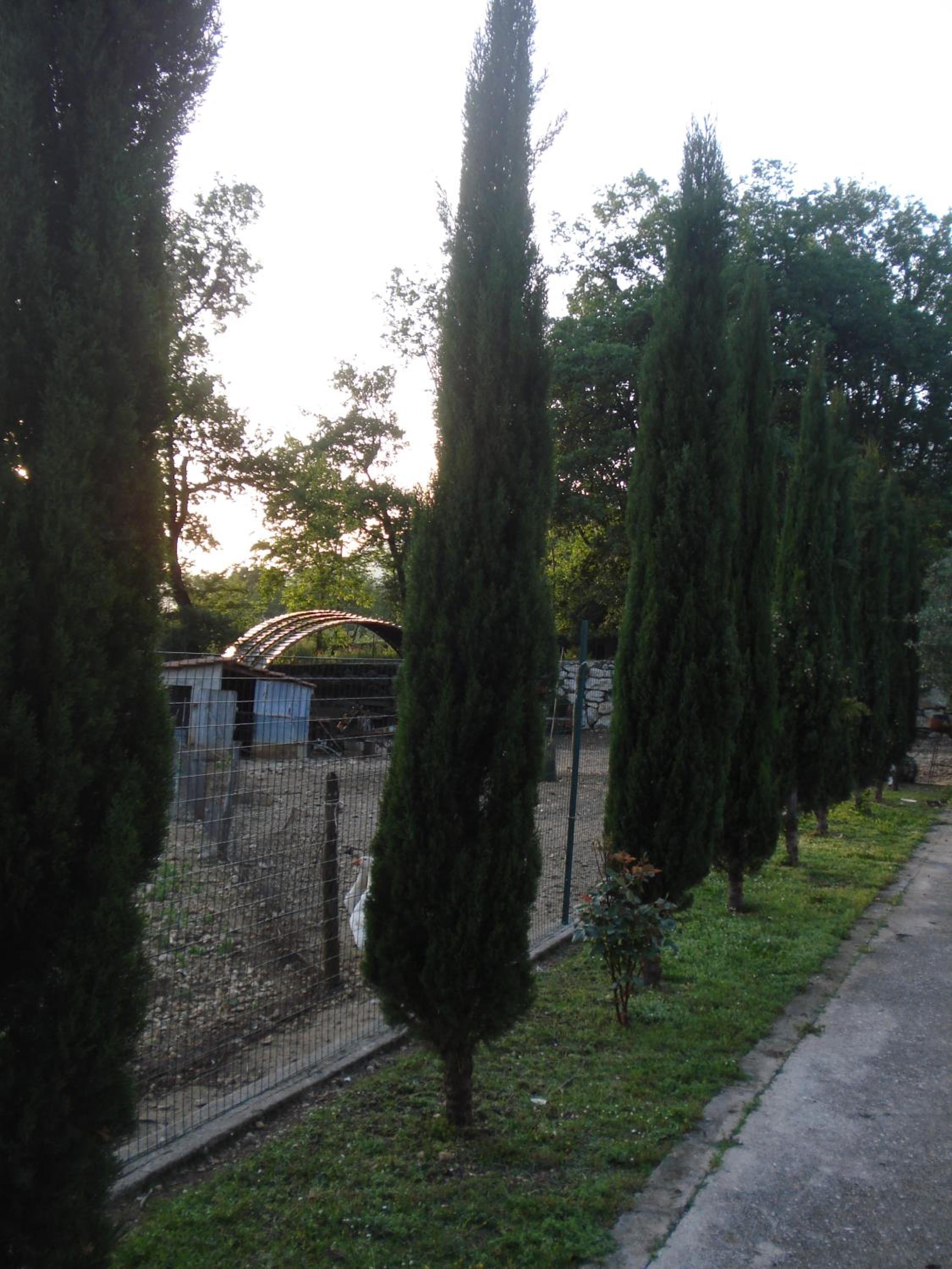 Agriturismo La Fattoria photo 2