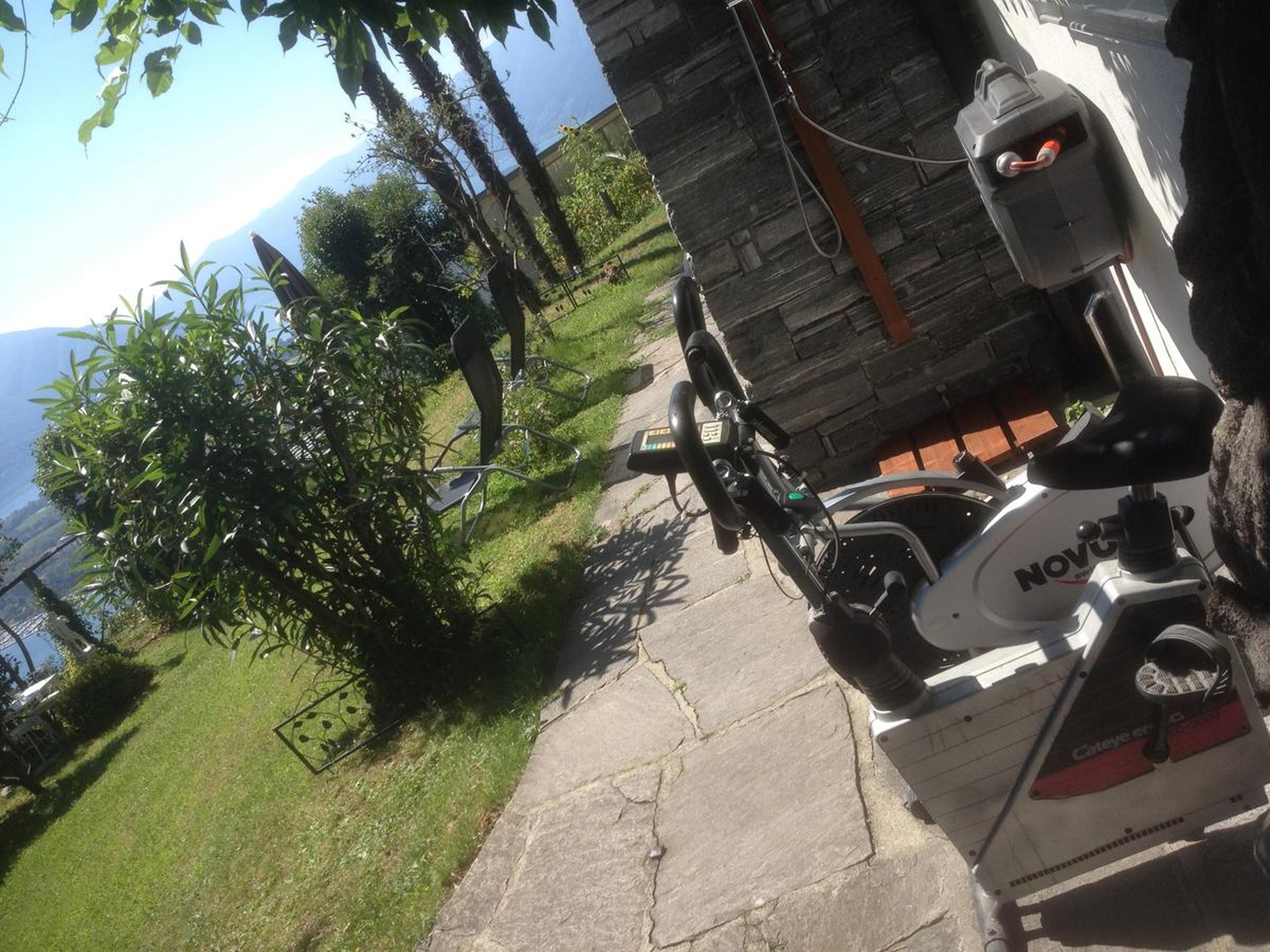 Photo 42