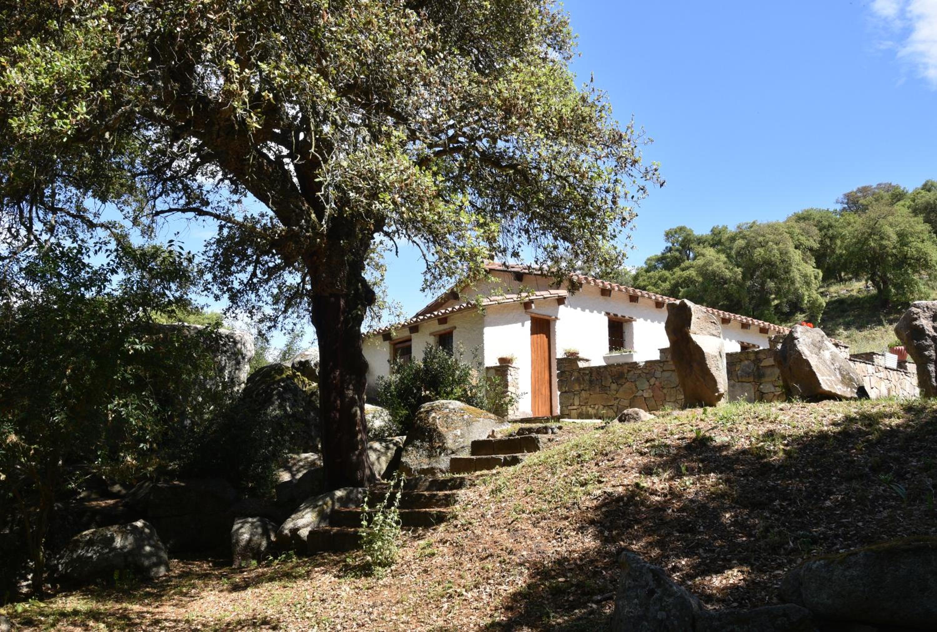 B&B I Menhir